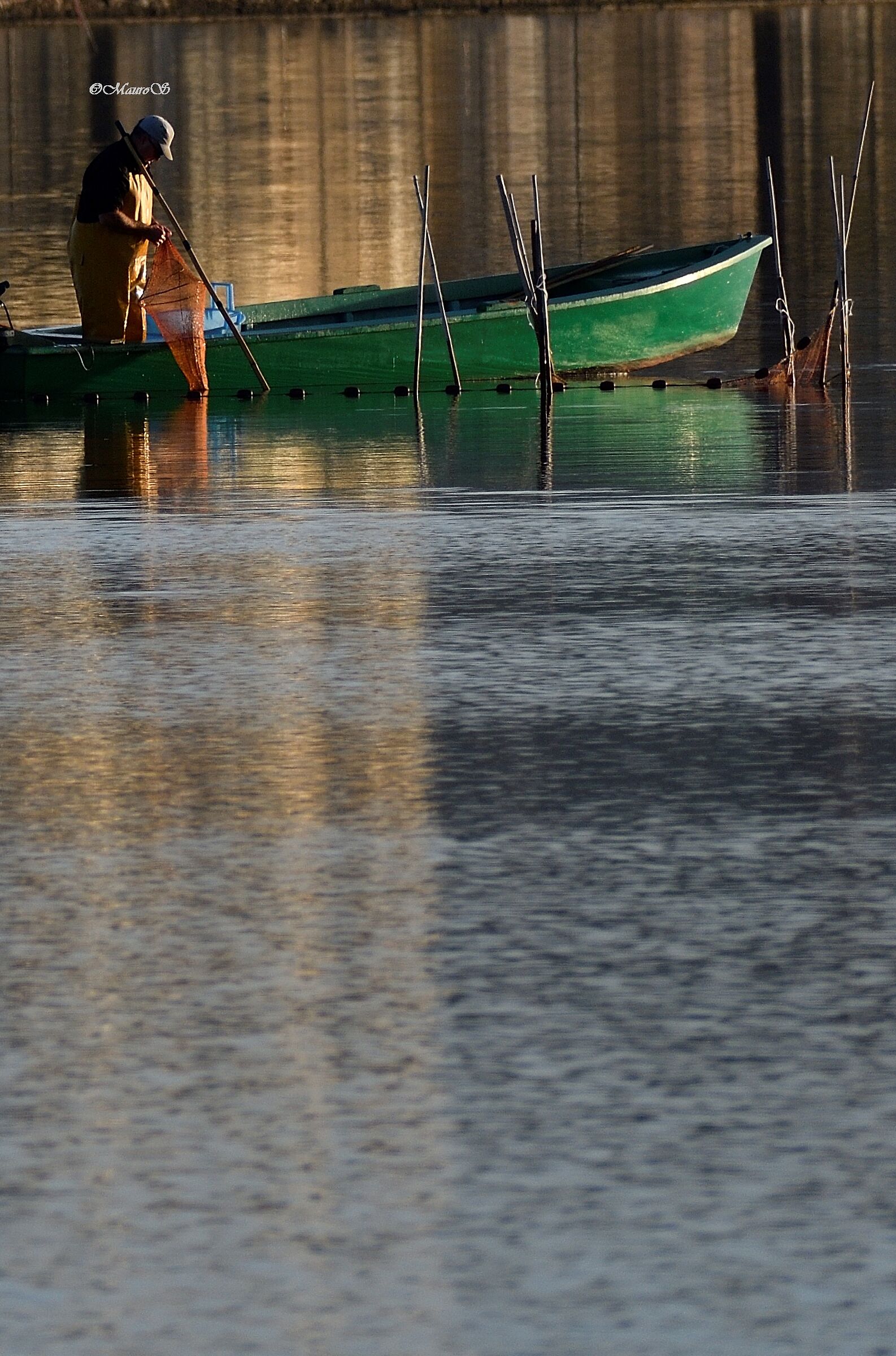 the Lagoon Fisherman