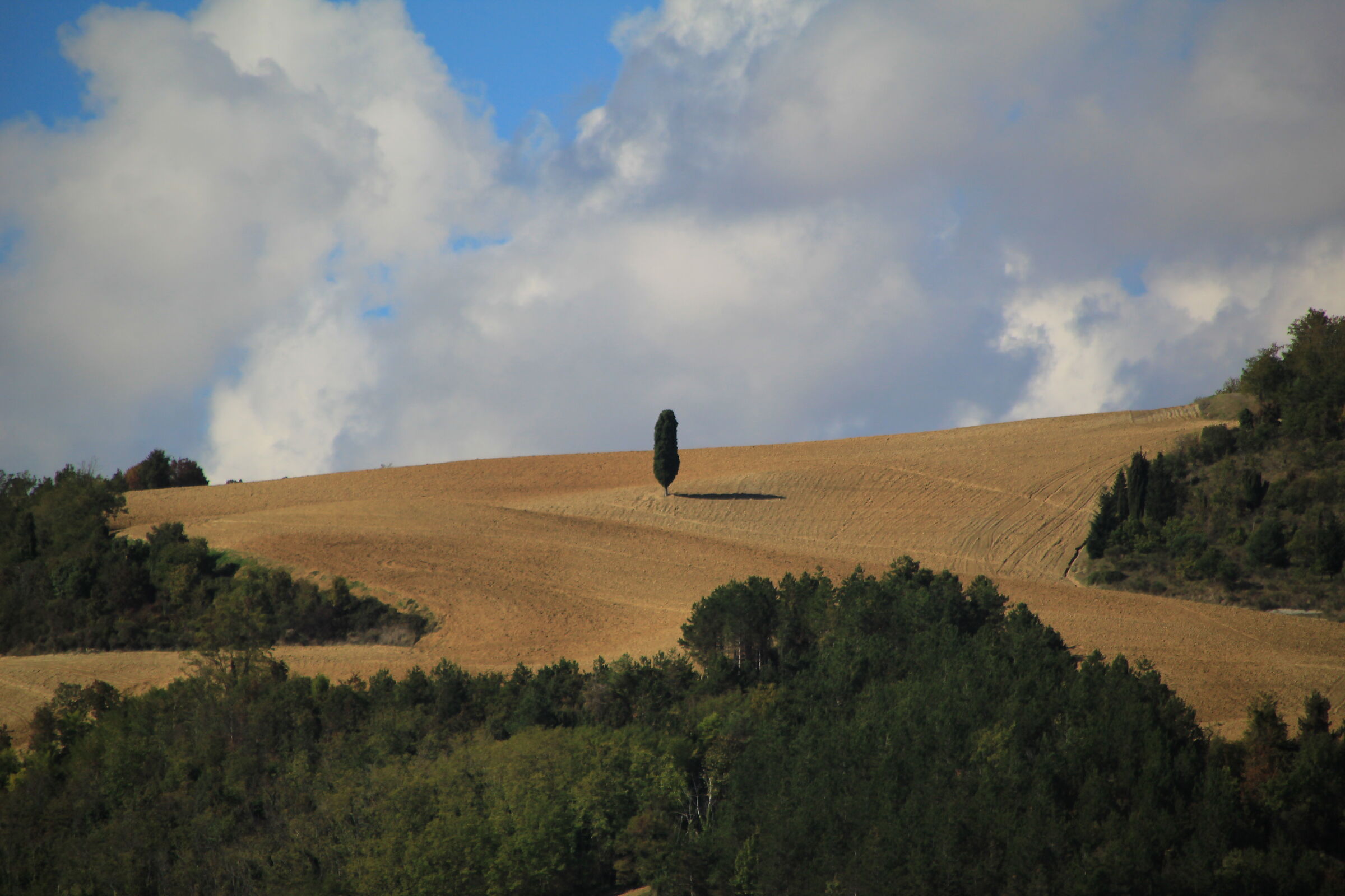 Il solitario