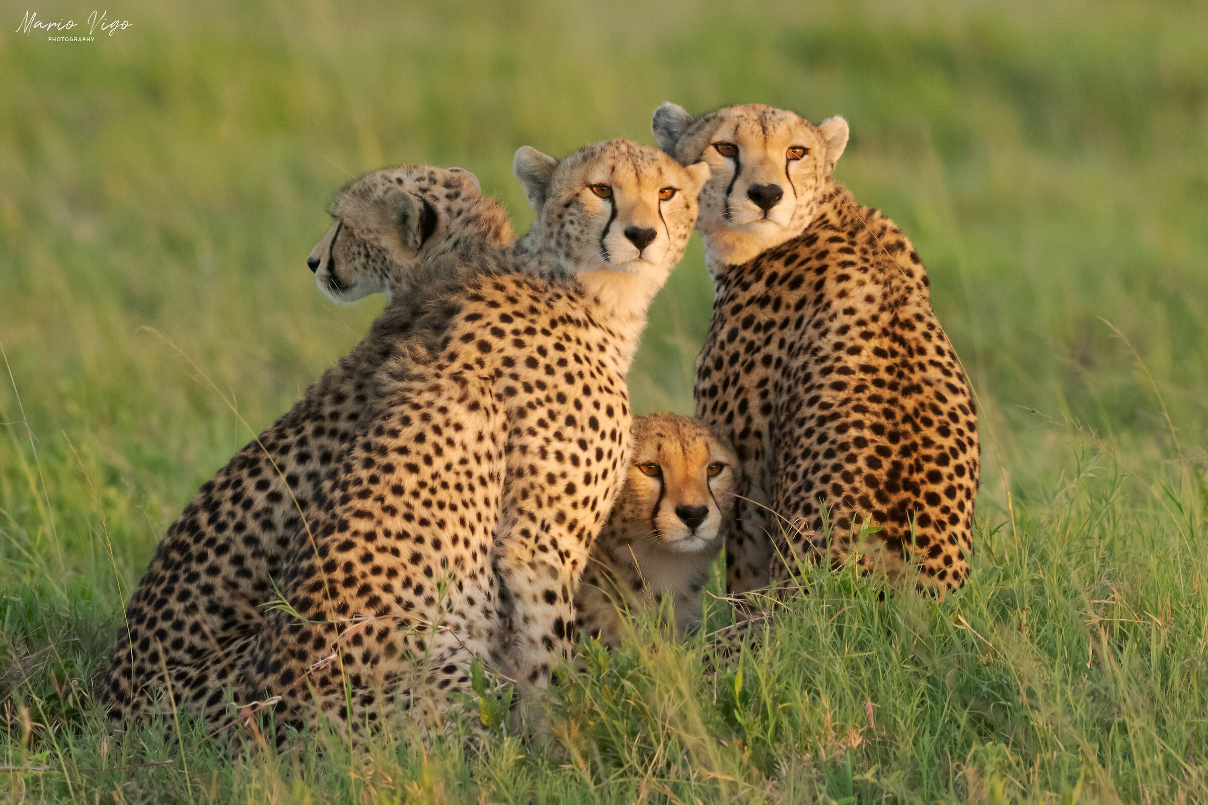 Ritratto di famiglia