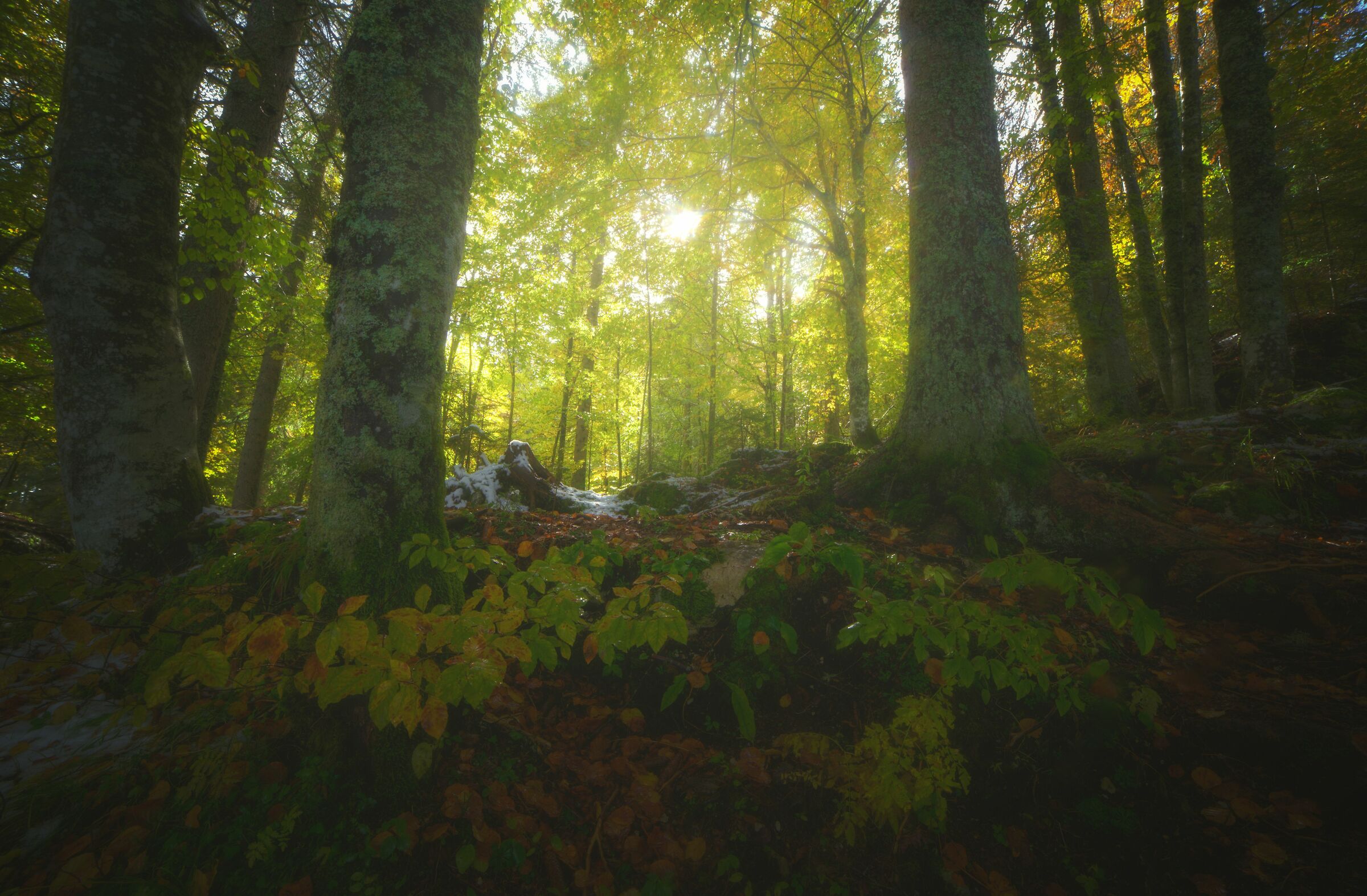 Luce e colori soffusi