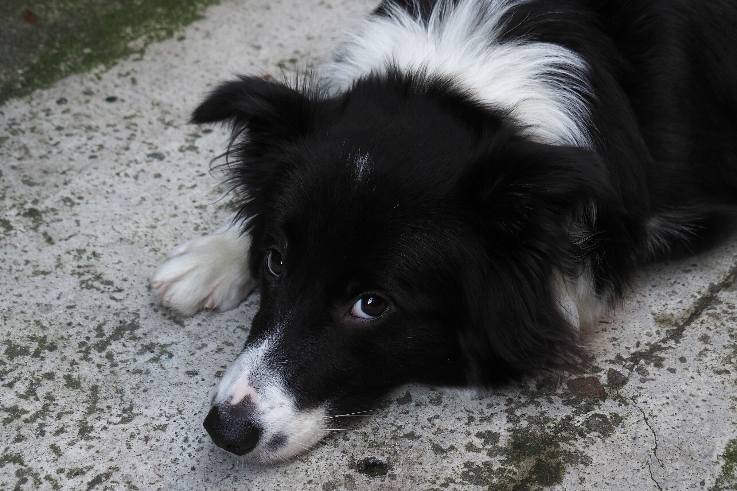 What boreness'sti paparazzi!