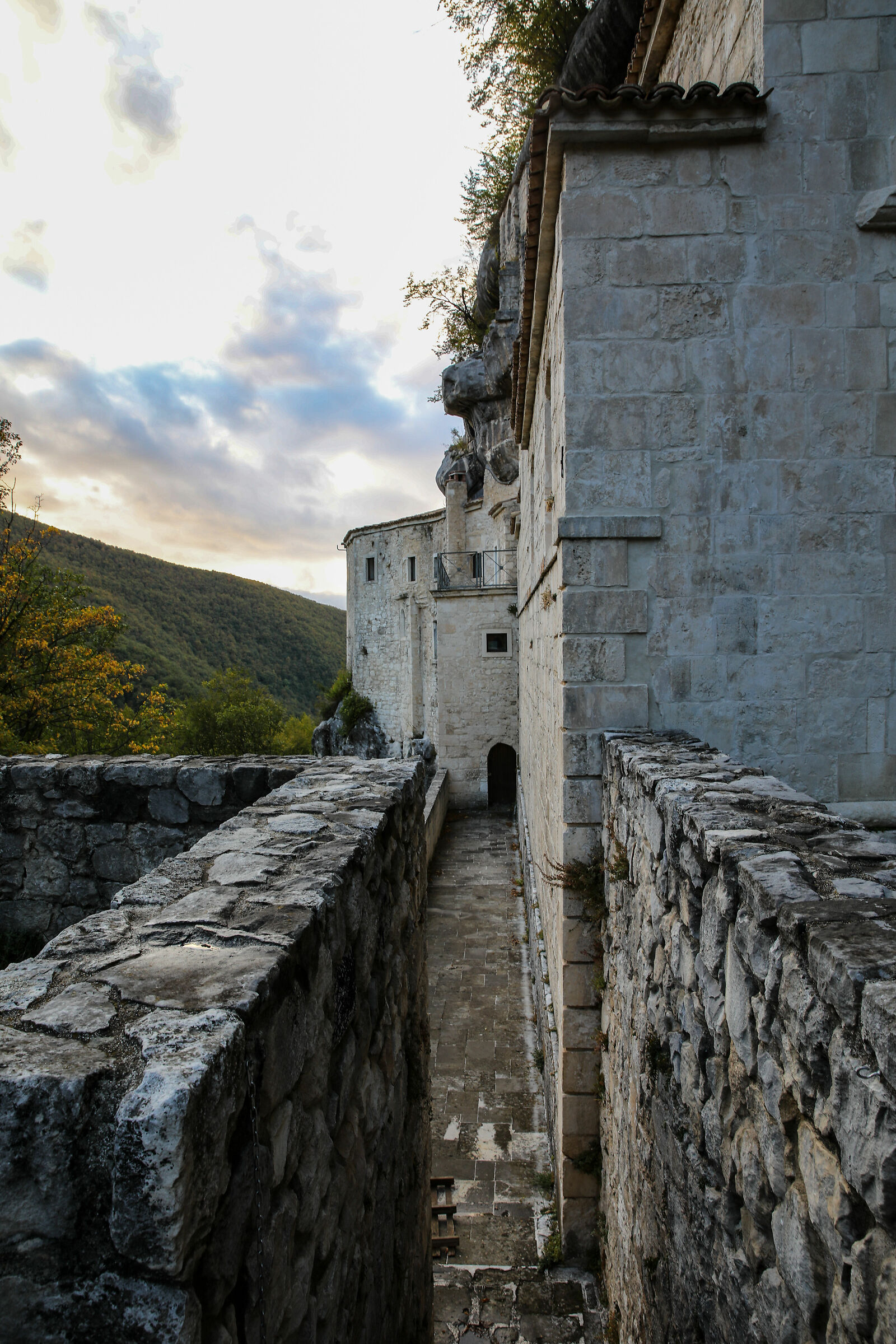 Hermitage Holy Spirit to Majella