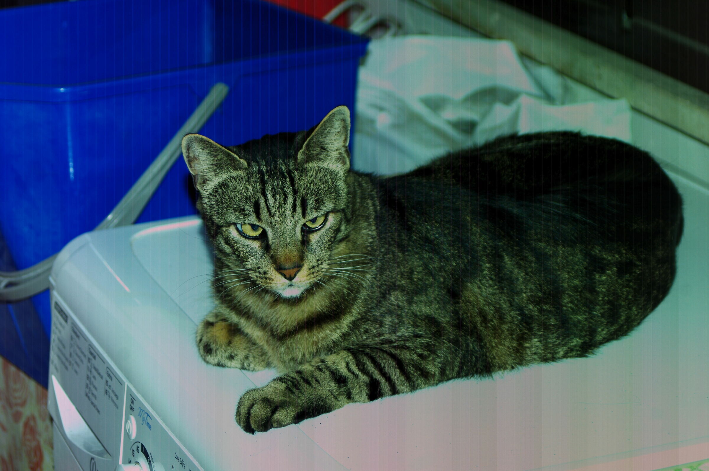 1/160 sec.80.0 mm ISO 8200 FLASH P.APERTURE +5EV