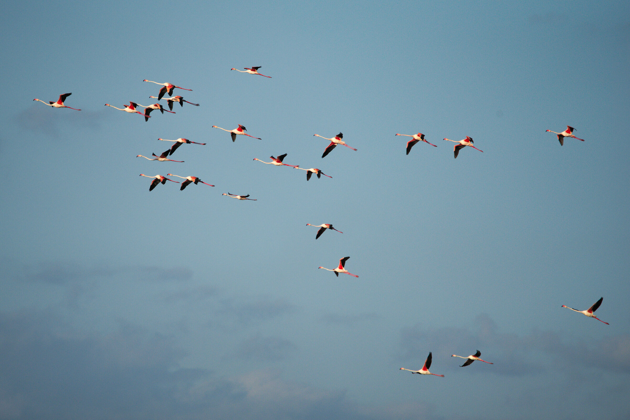 sempre belli anche da lontano