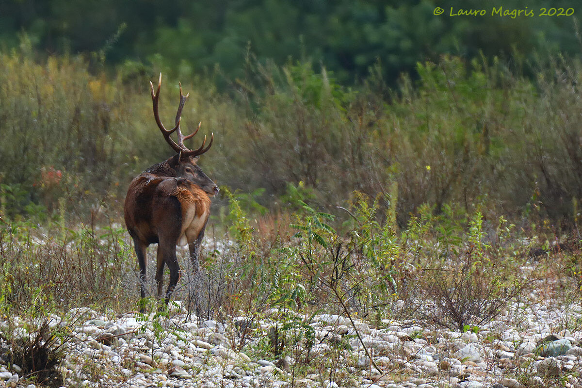 Always looking over your shoulder