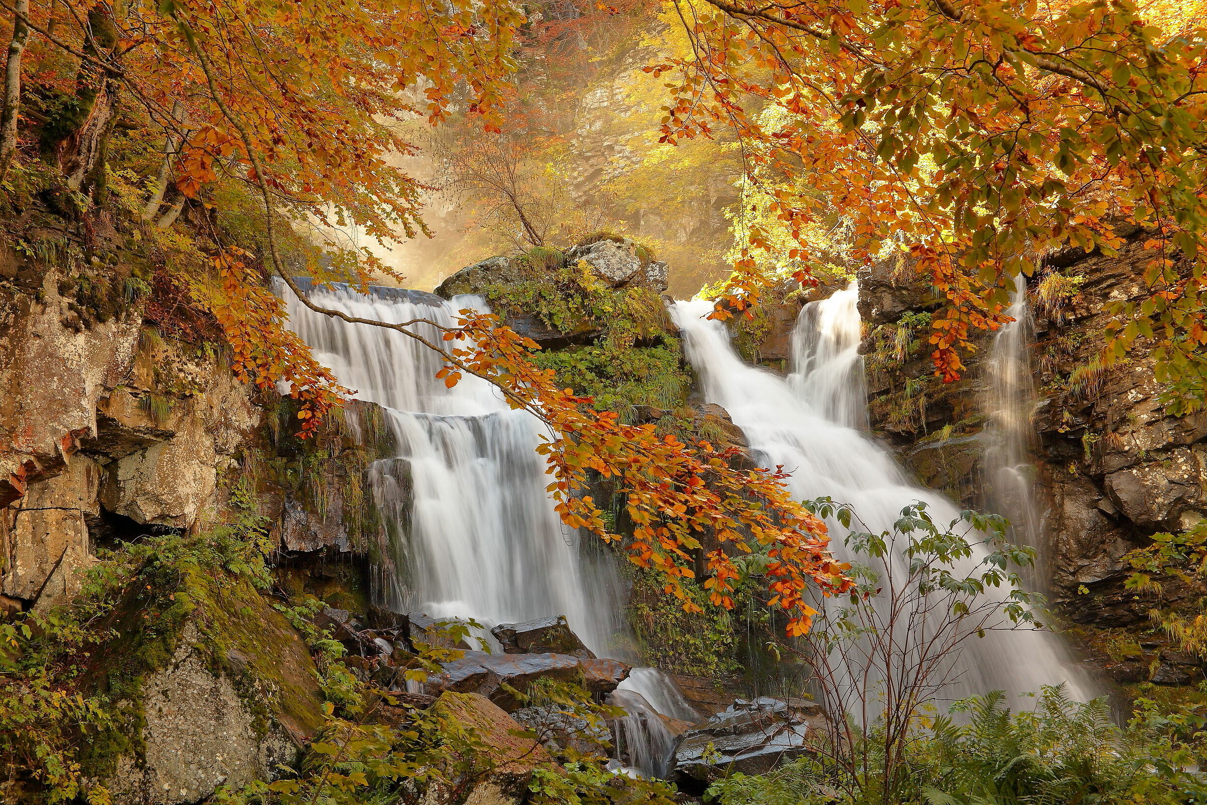 Reflections on Dardagna