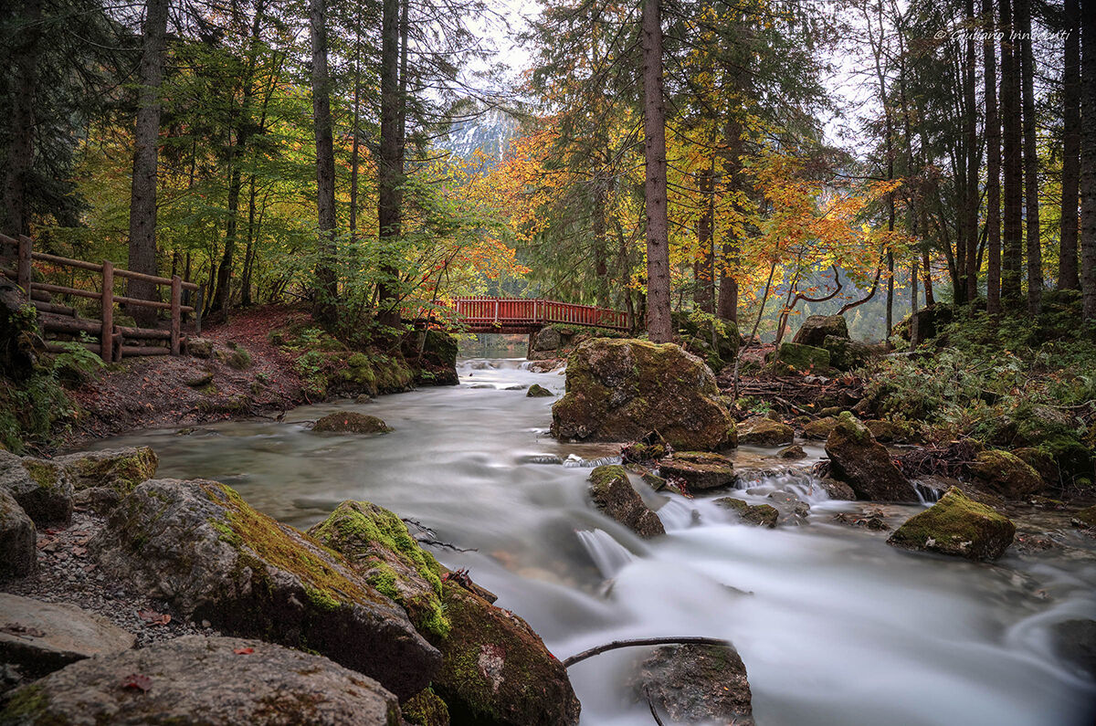 Il torrente Tresenga -Tovel