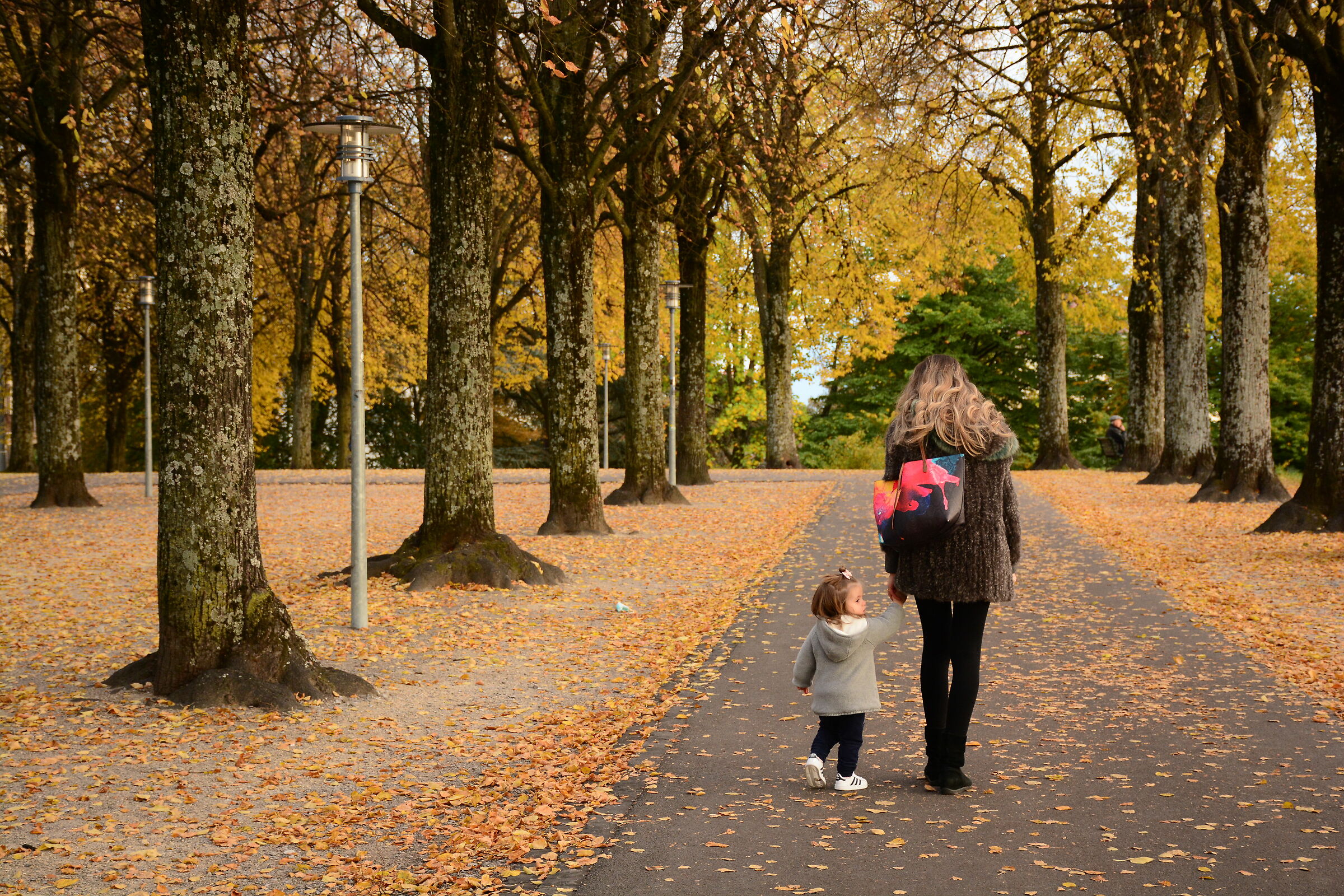 Autunno2