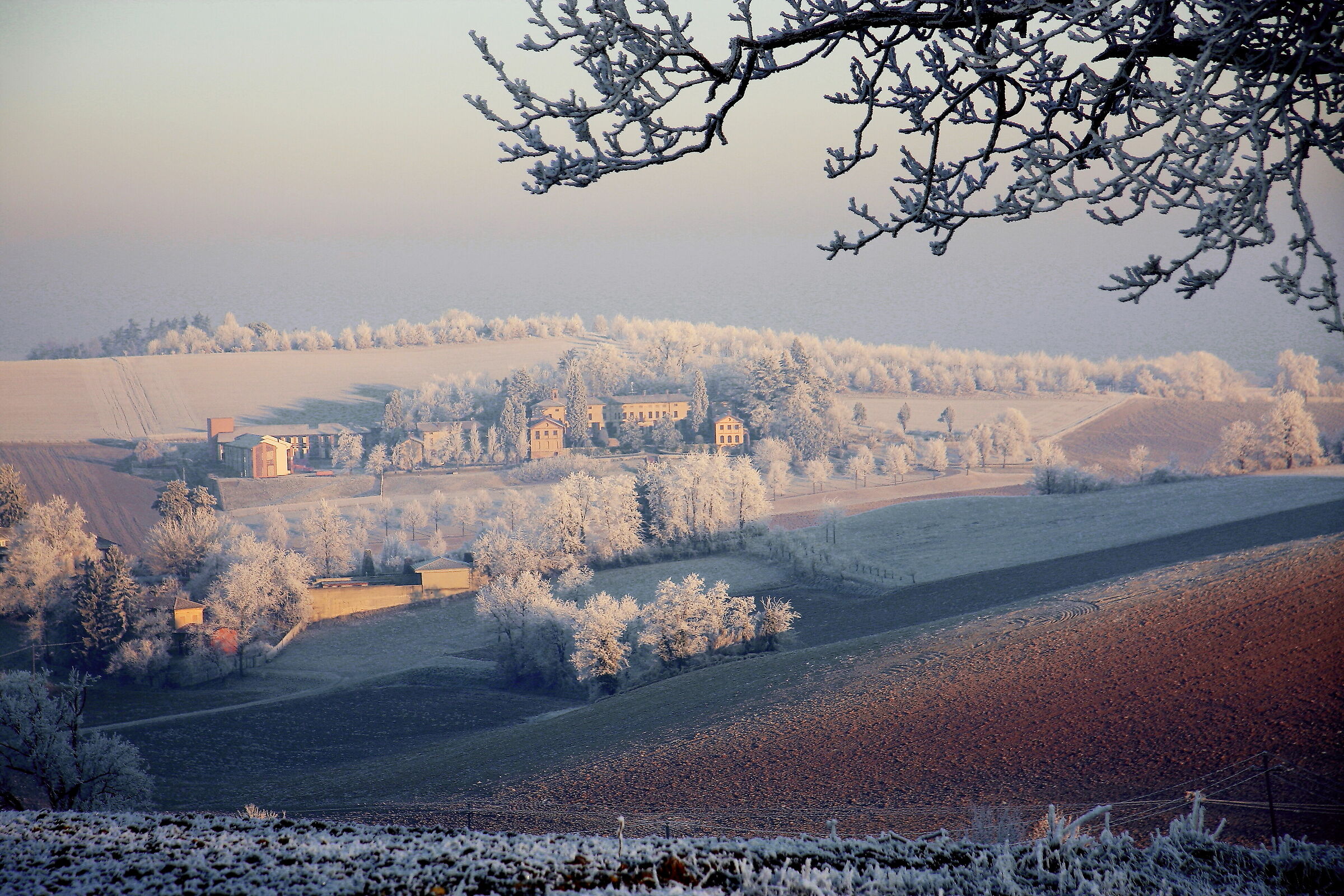 Campagna sulle colline di Valenza (Alessandria)