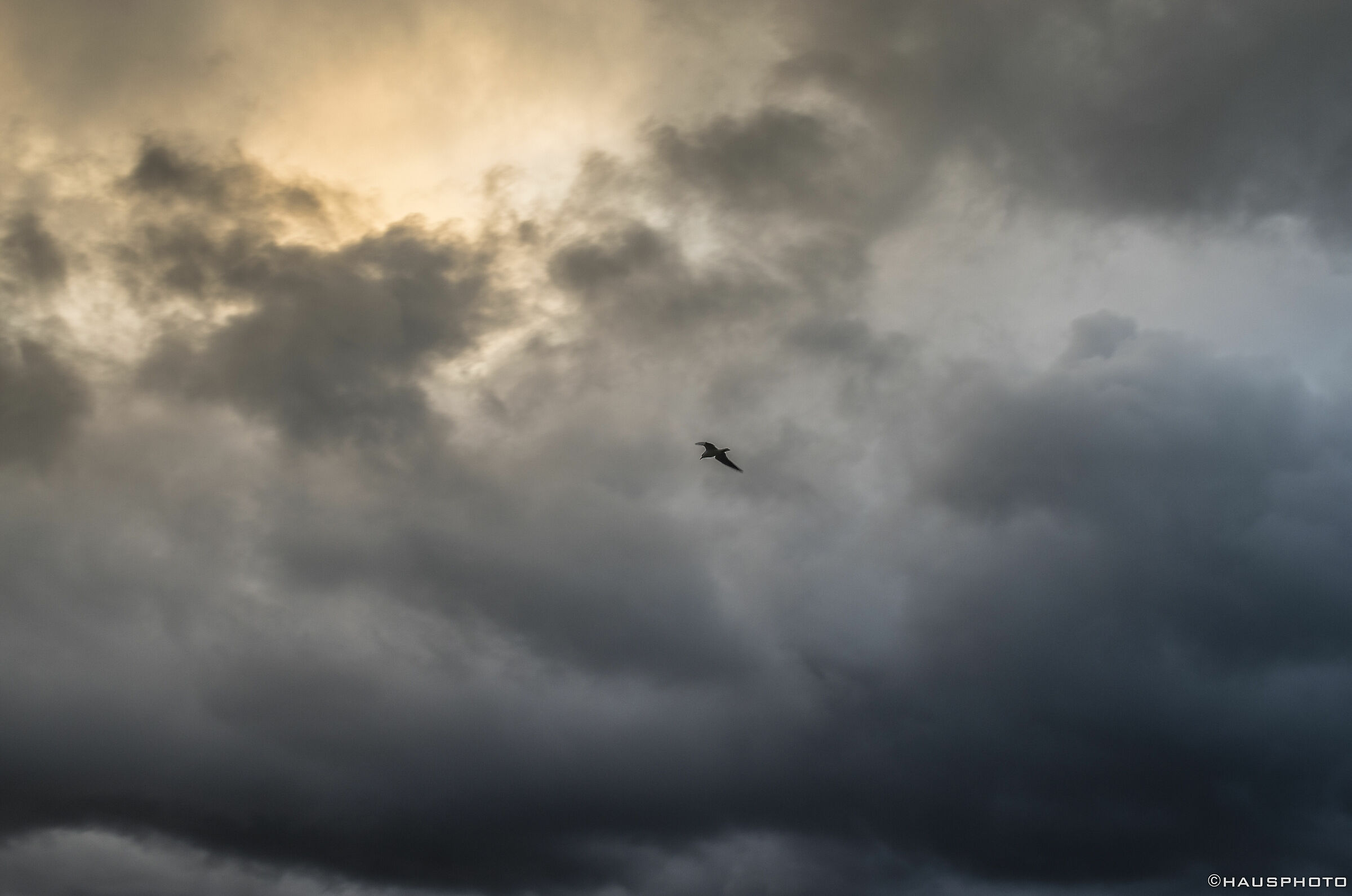 The sky is blue above the clouds