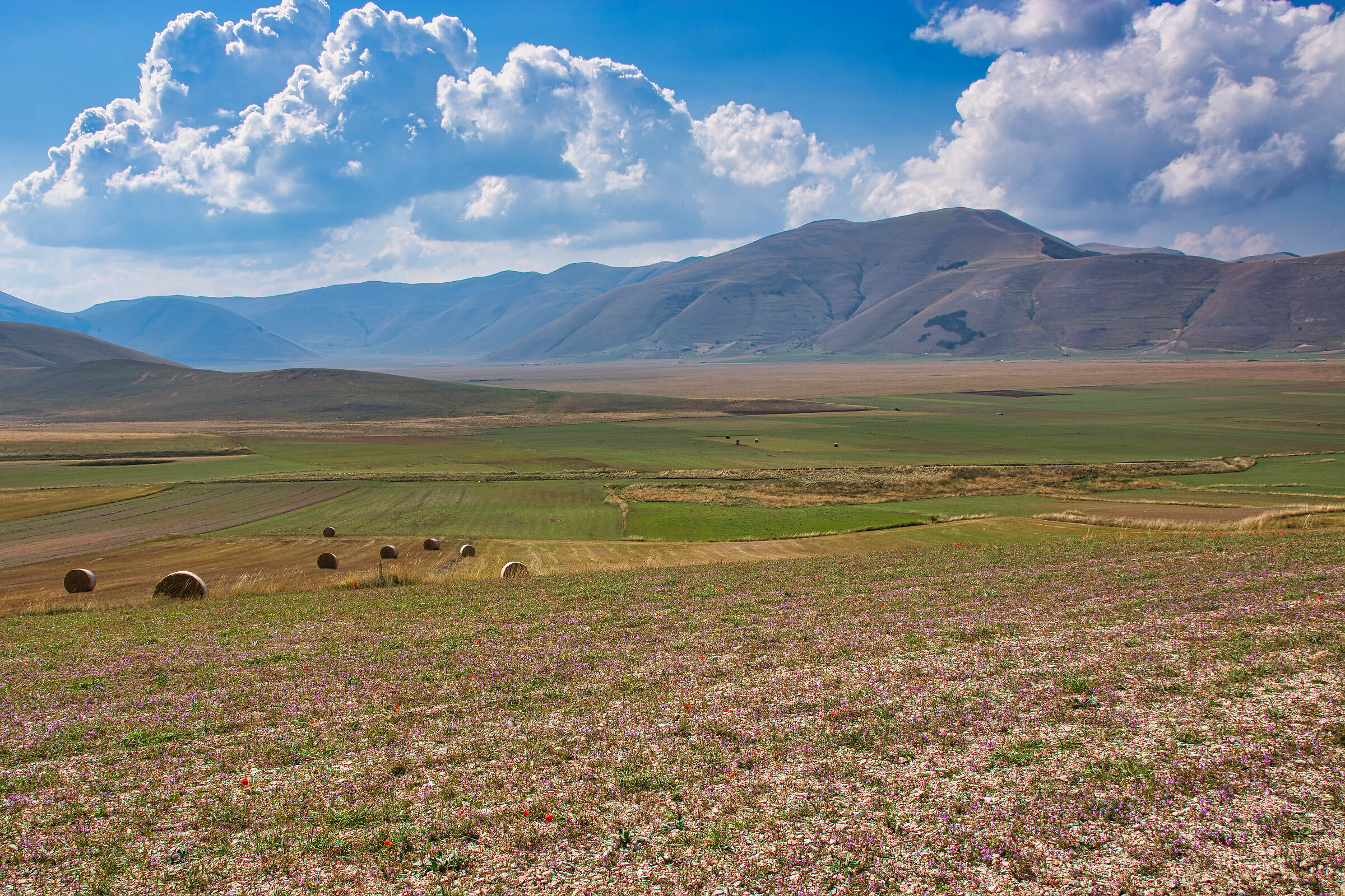 Castelluccio Plain