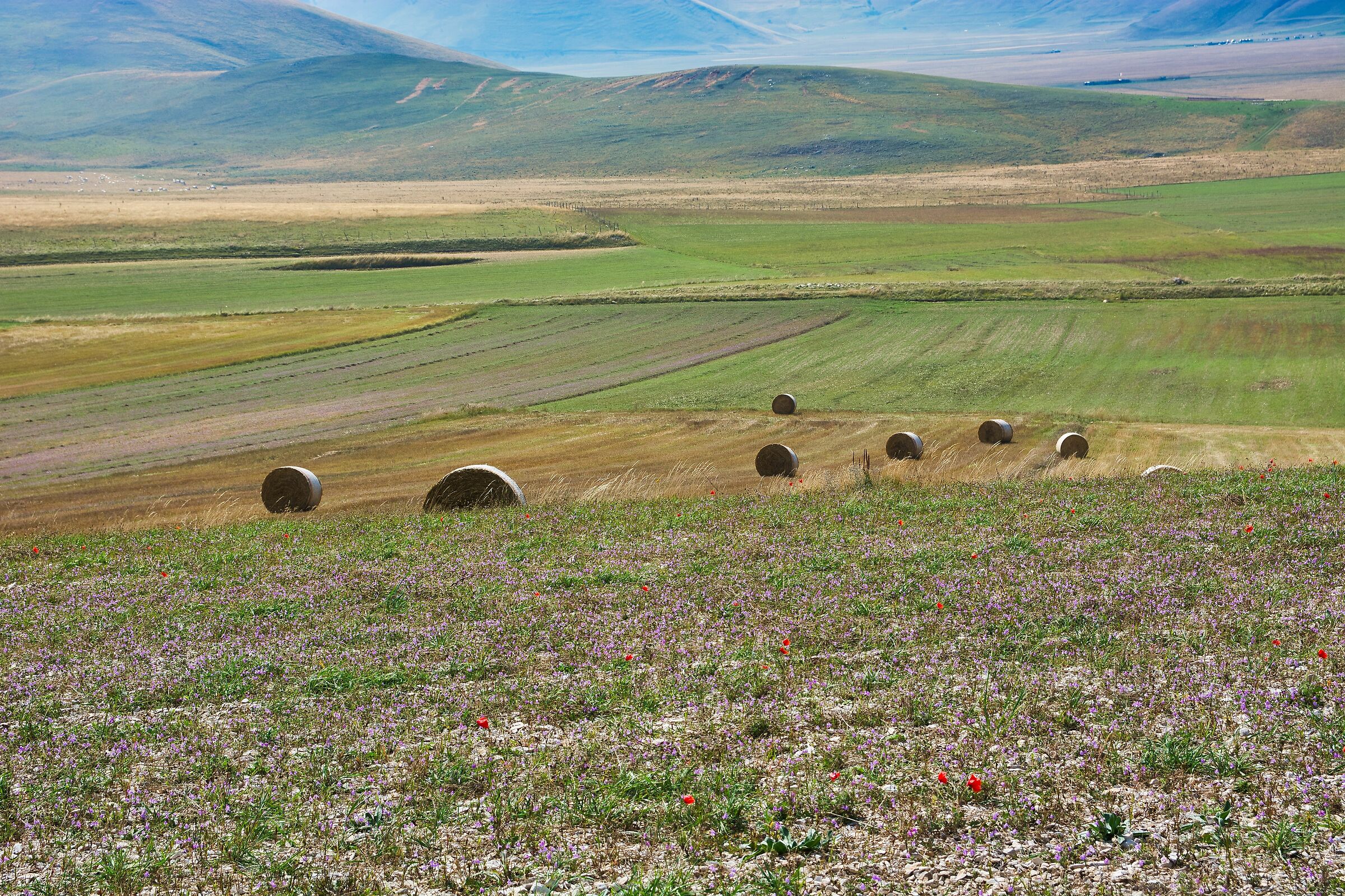 Castelluccio Plain