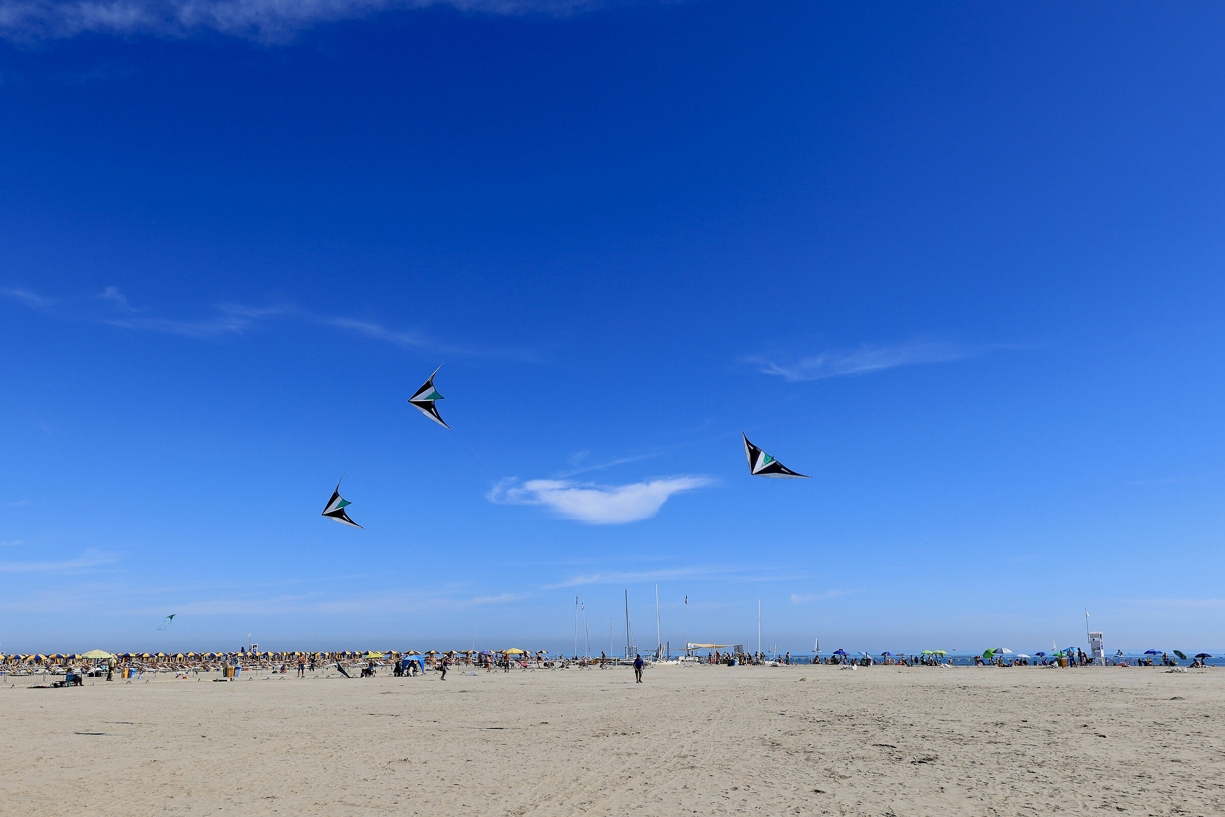 kites play with cloud