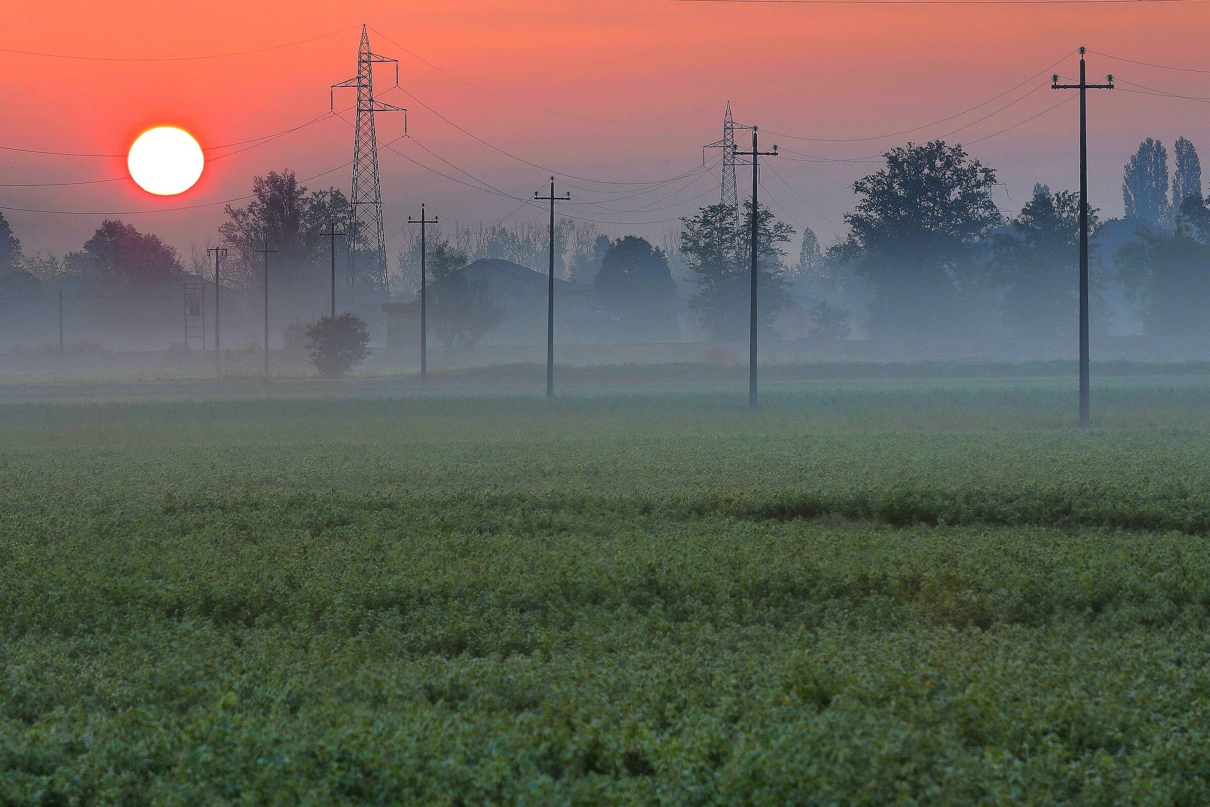 Alba infuocata nella terra del parmigiano (re)