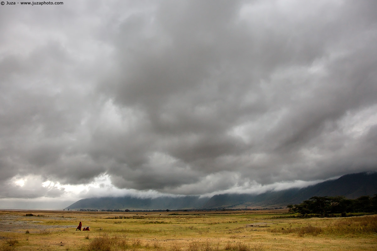NgoroNgoro, 007867