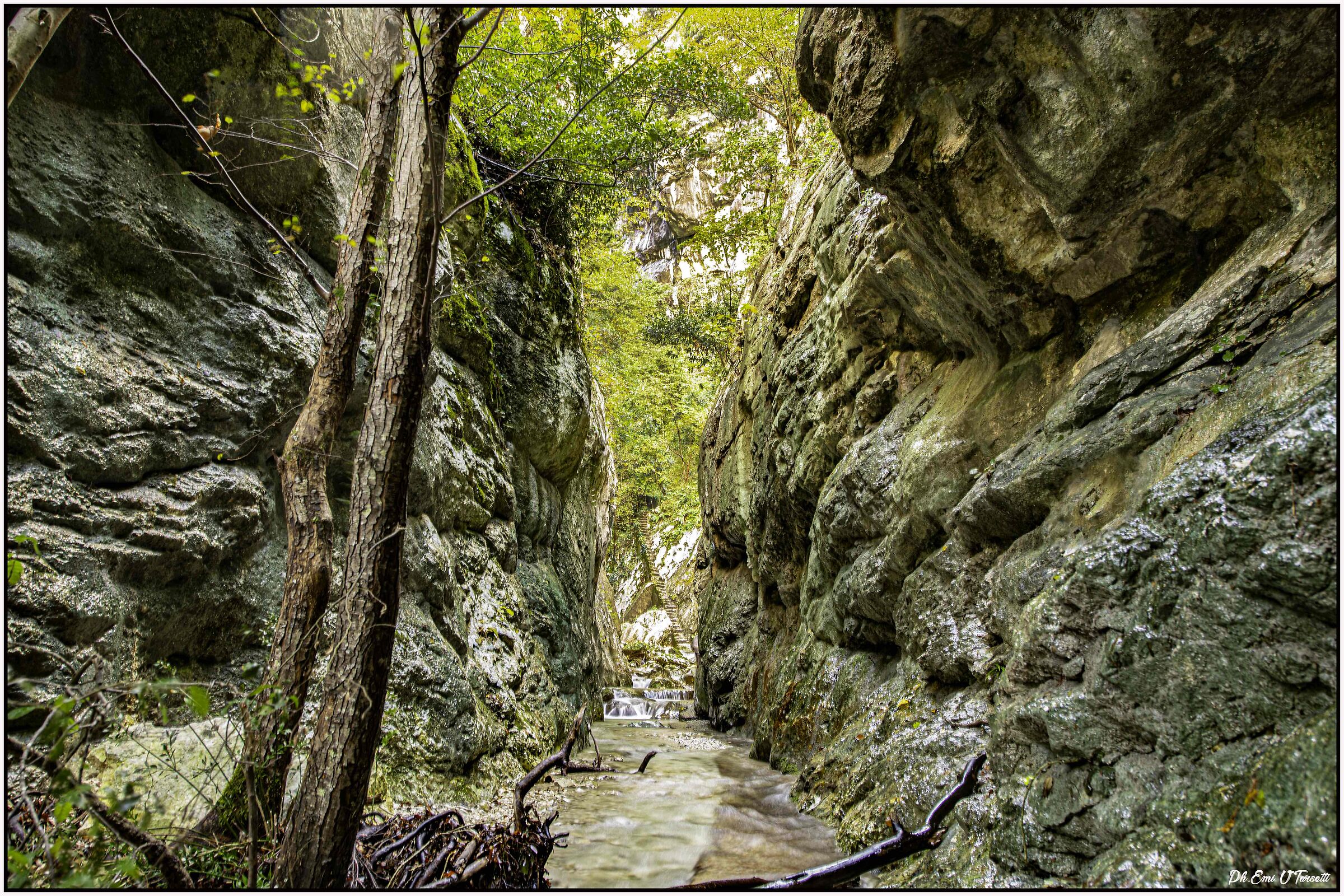 Forra...... Riofreddo.