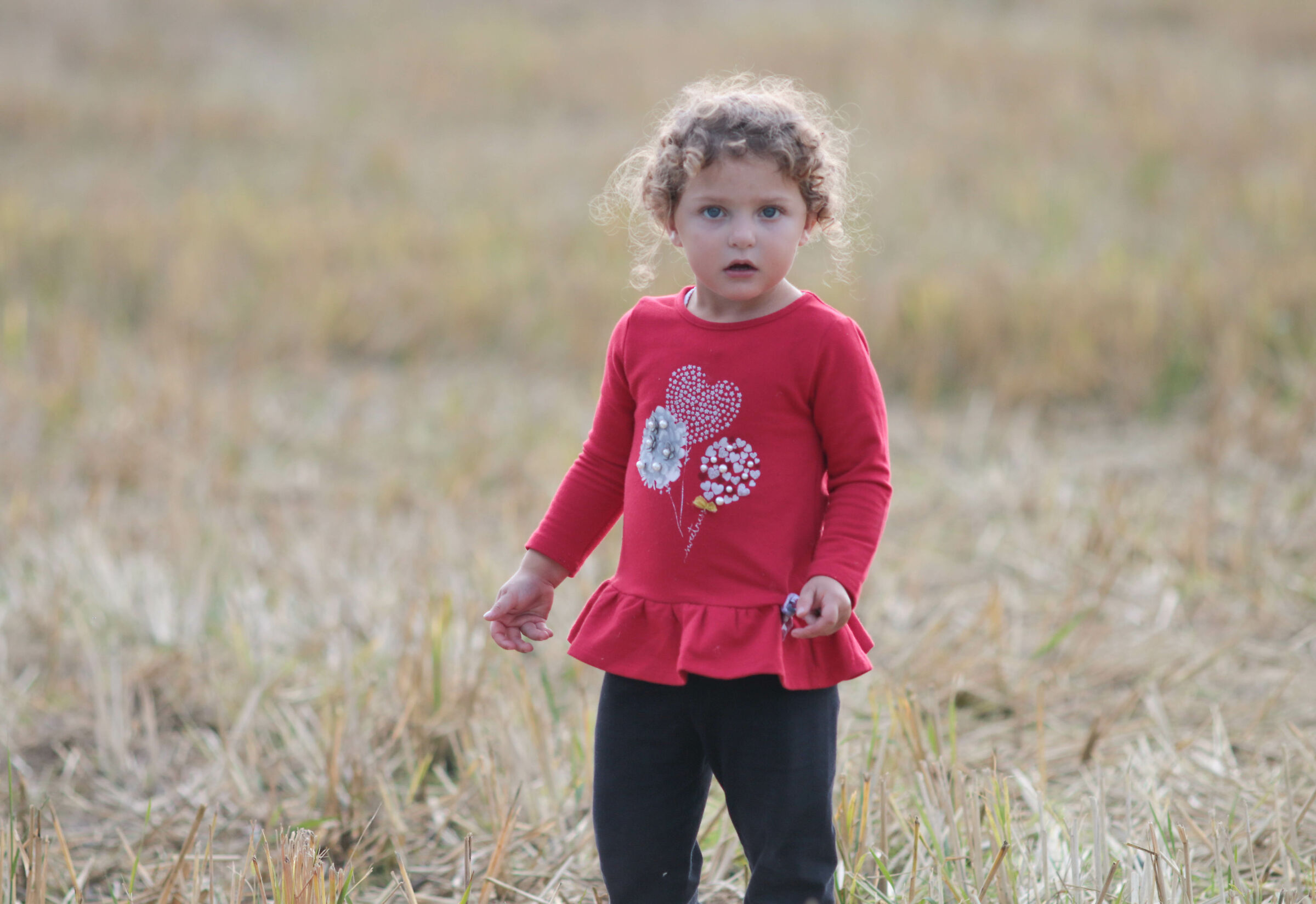 BRICIPILLA MUNICIPALITY