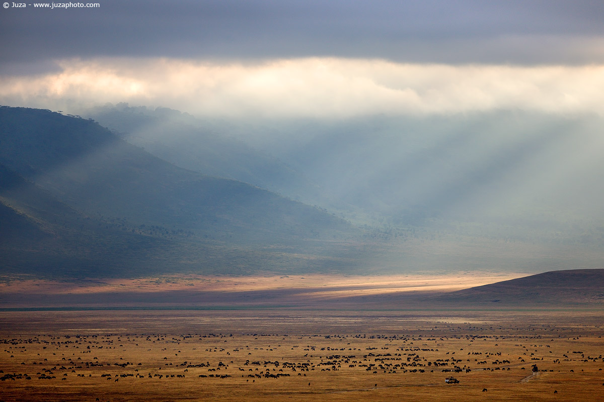 NgoroNgoro, 008073