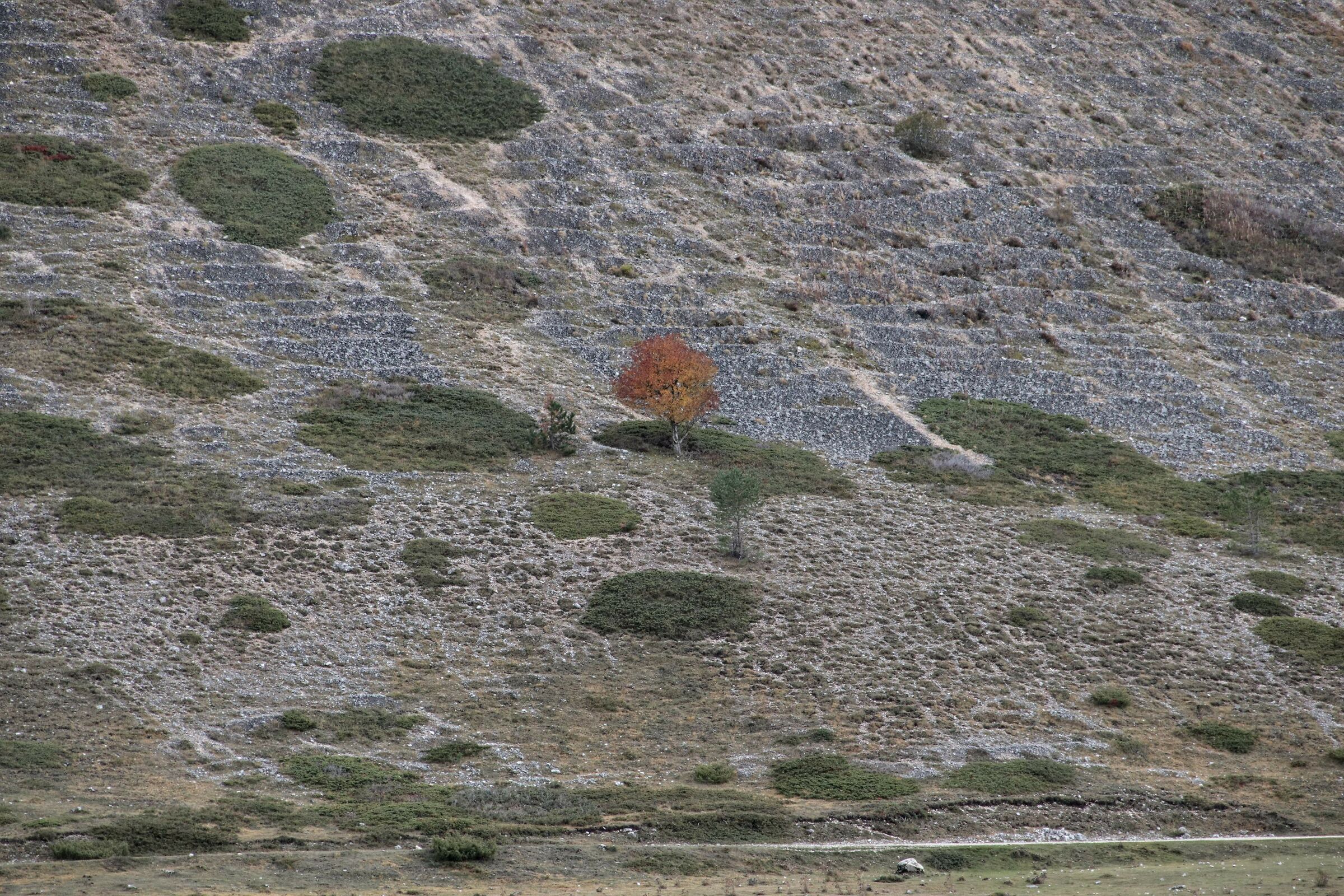 Loneliness and endurance