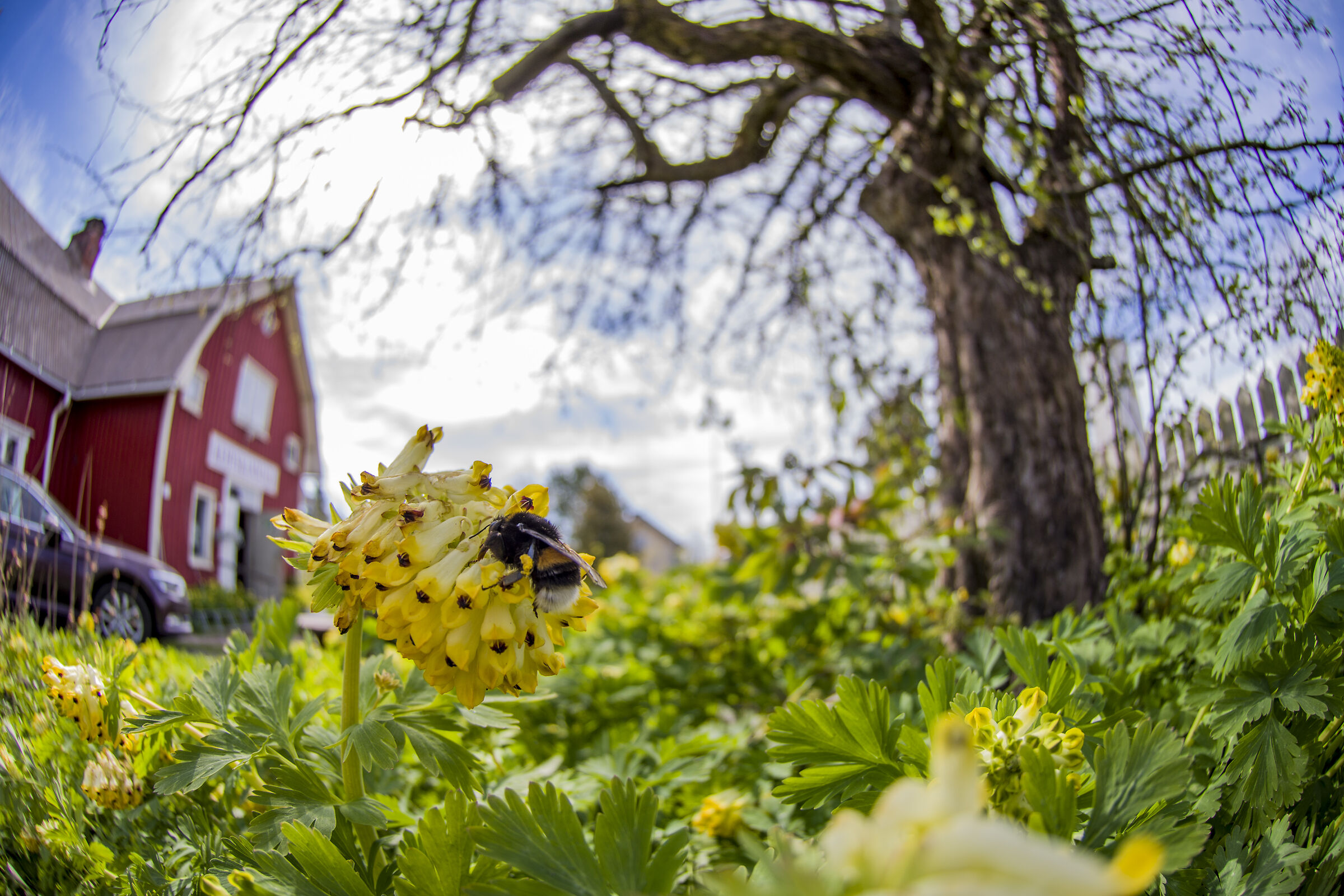 Dal cantiere del negozio di telaio