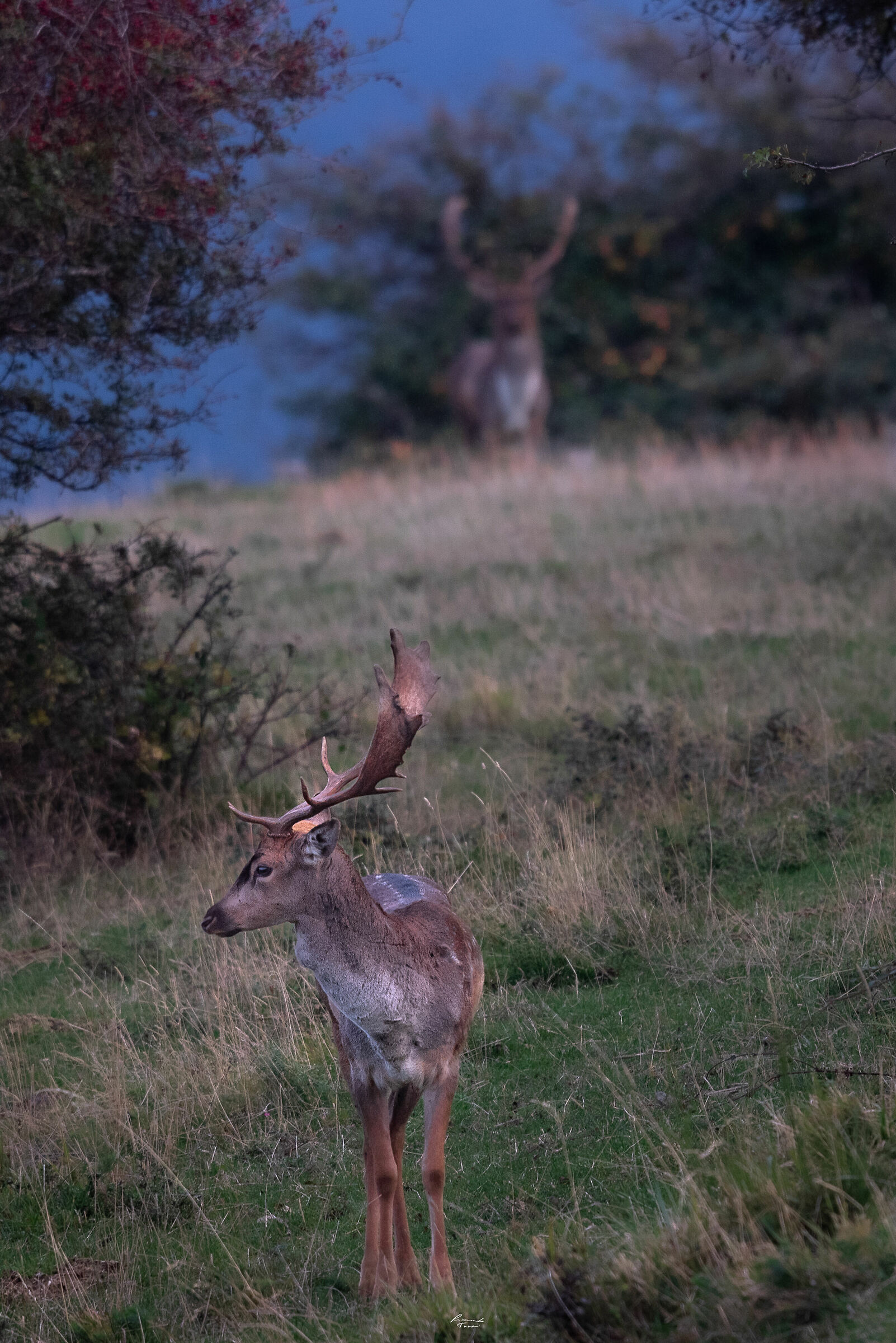 The Young Man and the Old Man