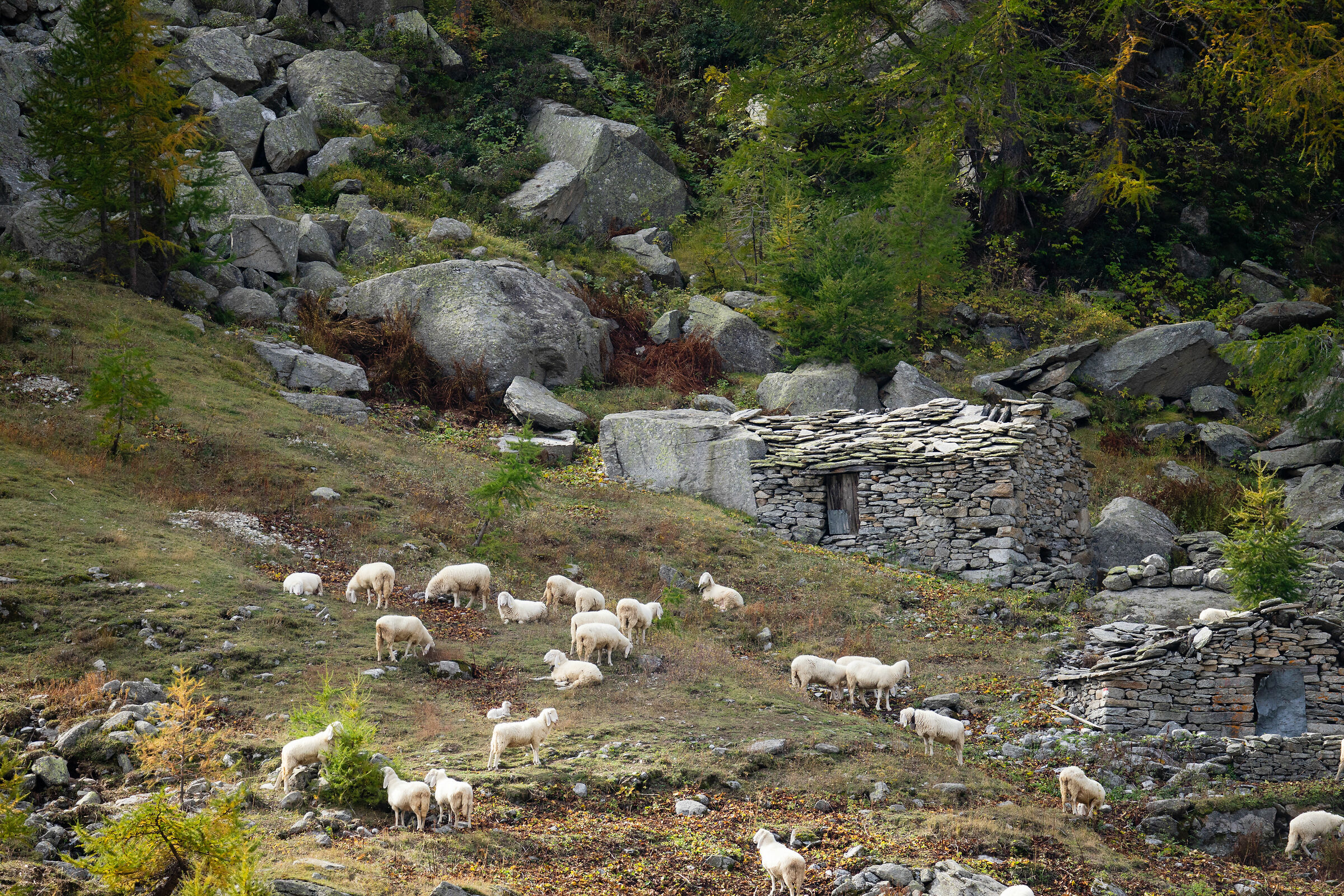 Una scena da Presepe