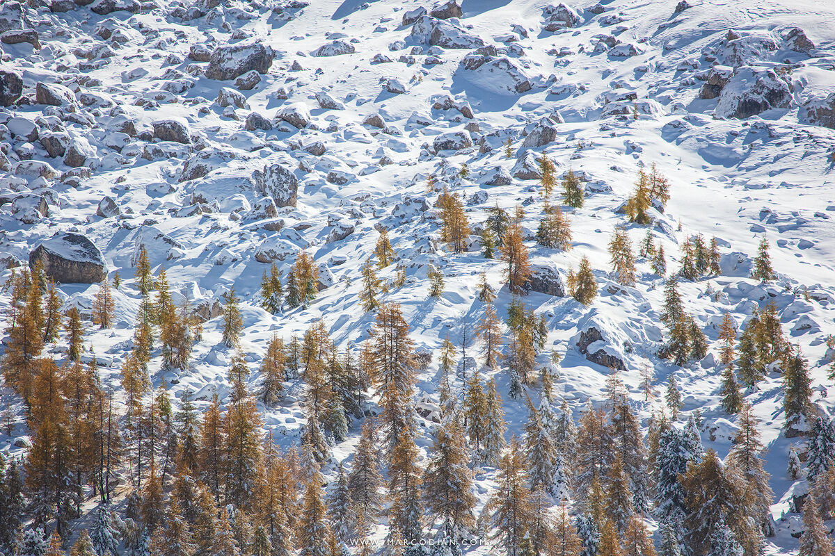 L'inverno sta arrivando