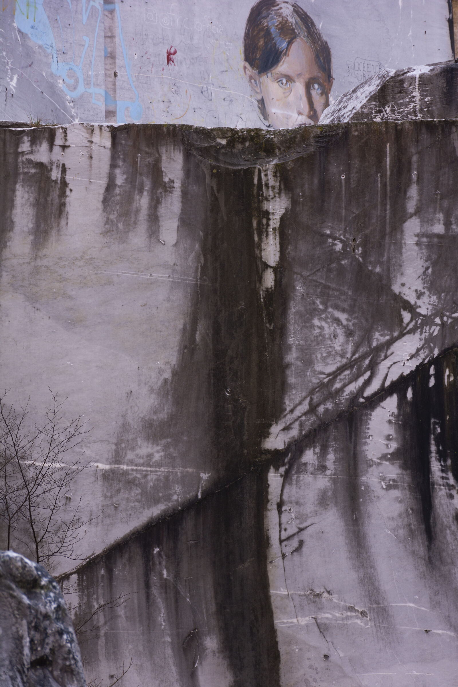 immagine emblematica