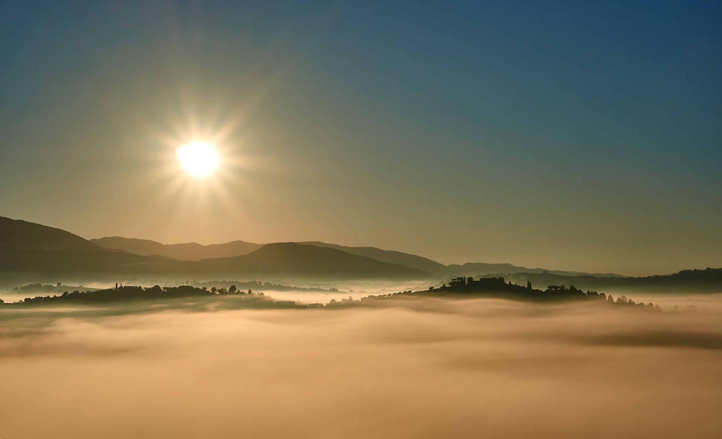 Autumn morning in backlight