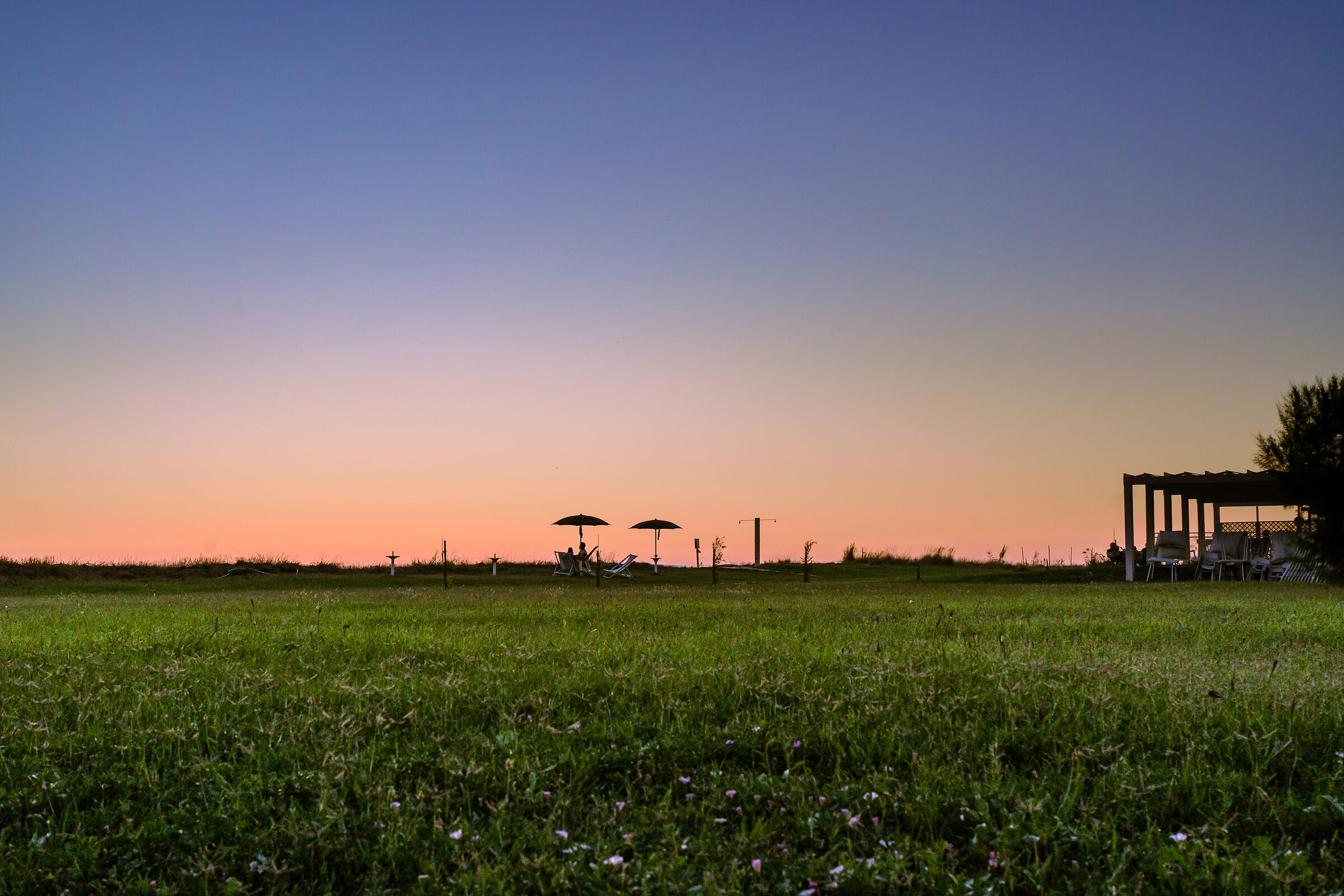 The Last Light of Day