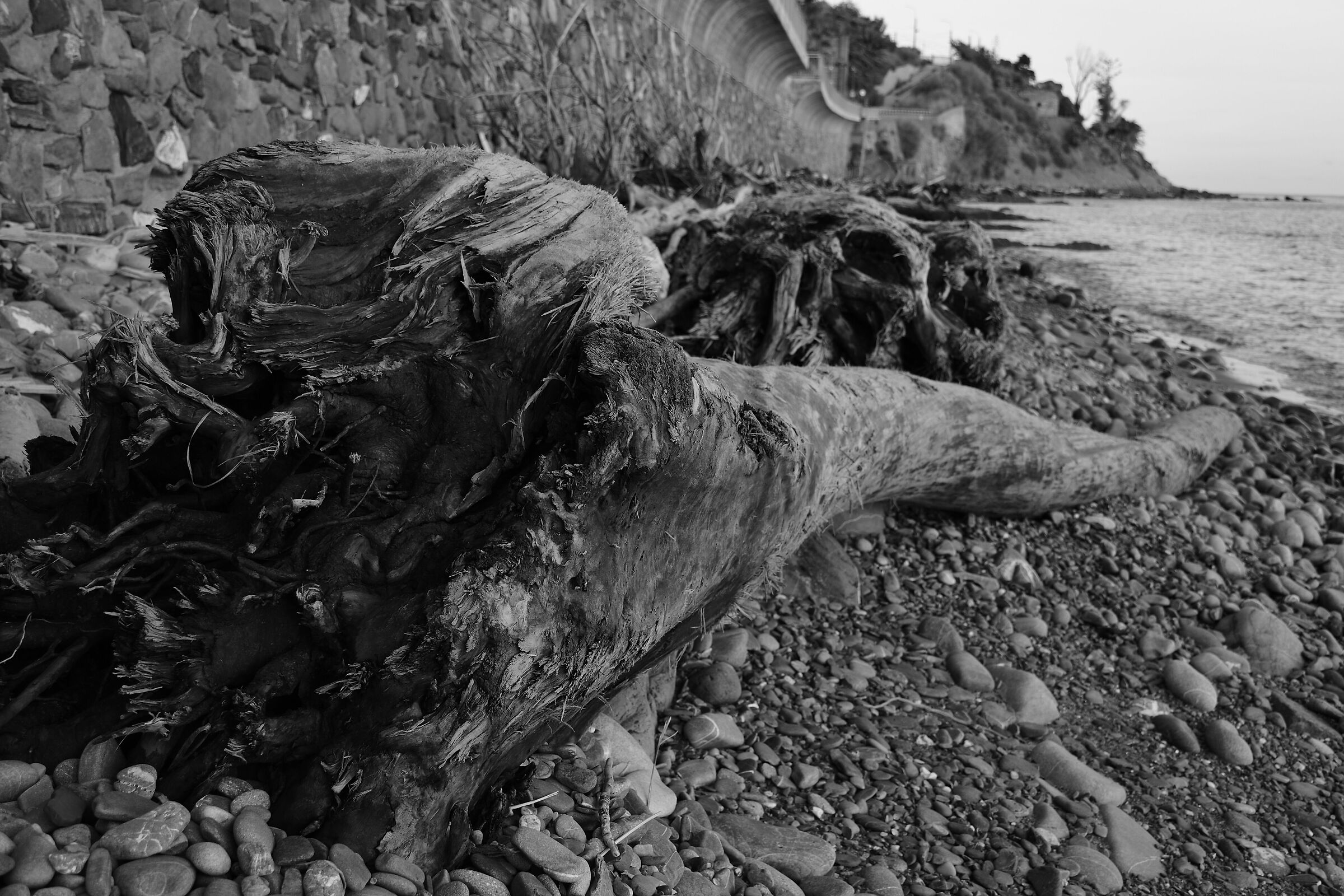 Il Mostro dopo la tormenta