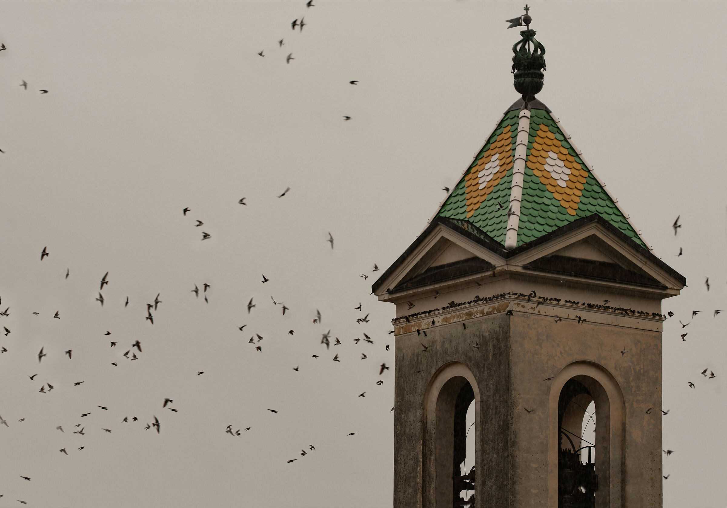 Pronte per il lungo viaggio