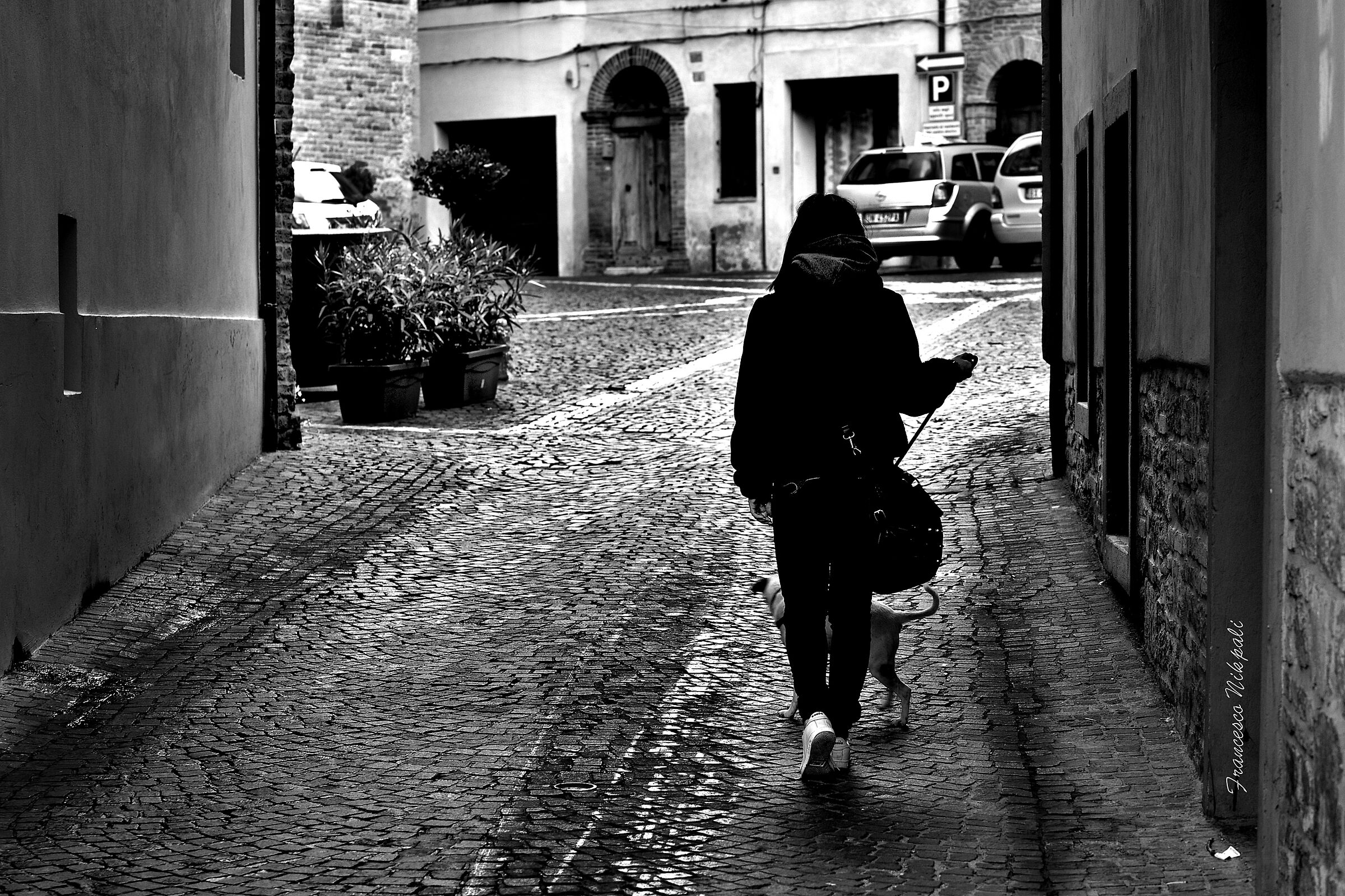 Walk with the dog