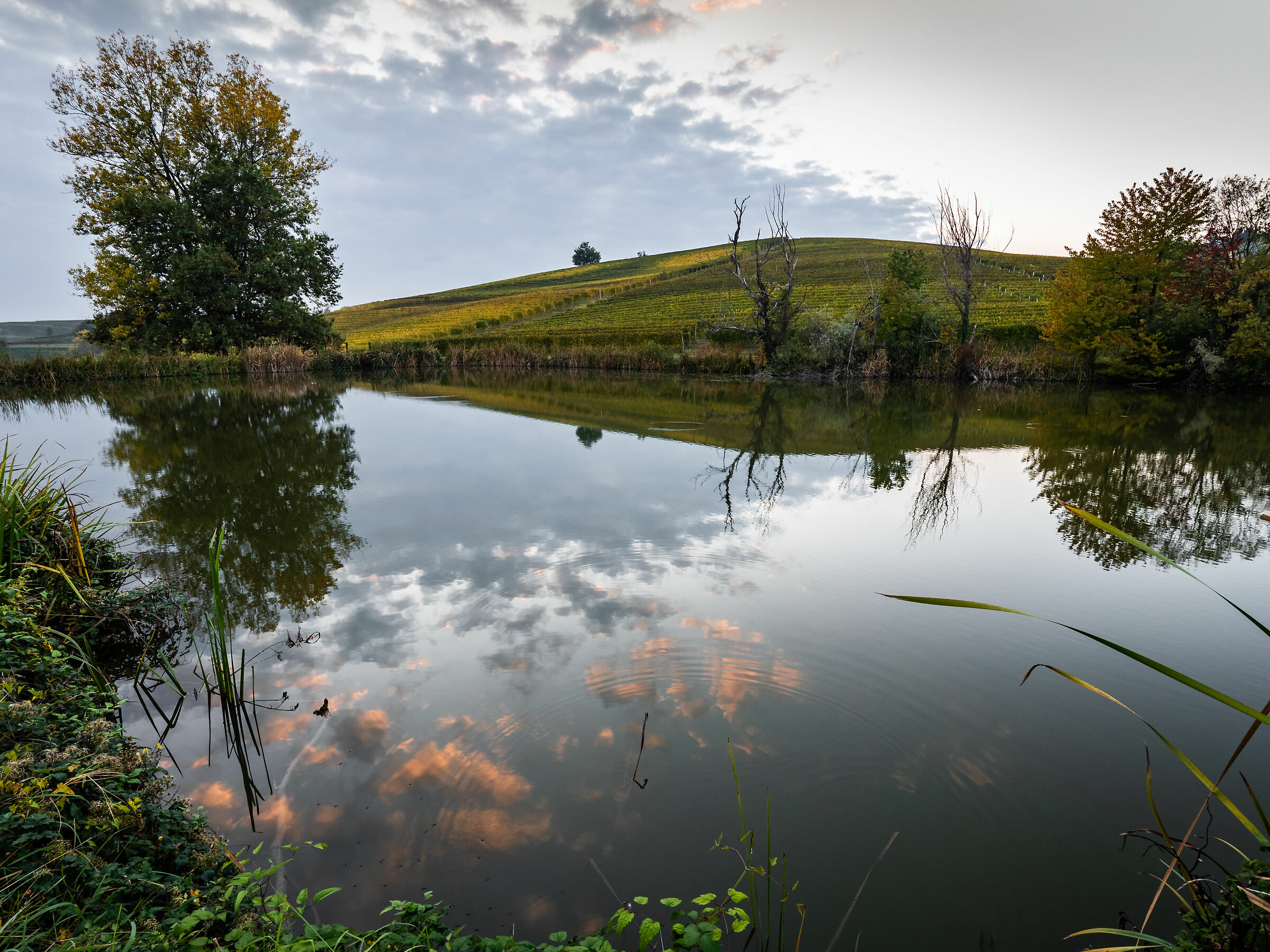 Evening reflections in Langa