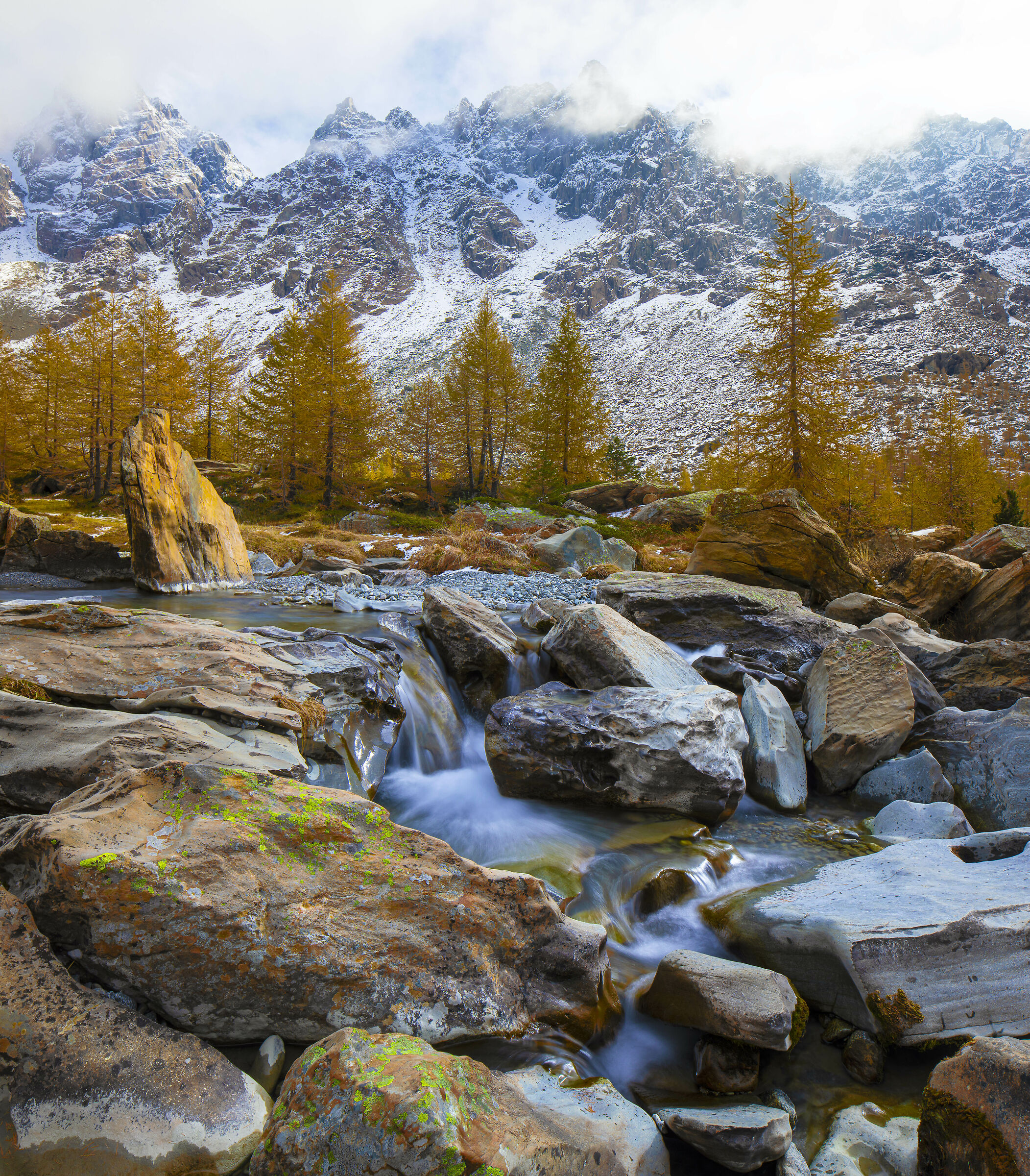 Autumn in Red Prey (SO)