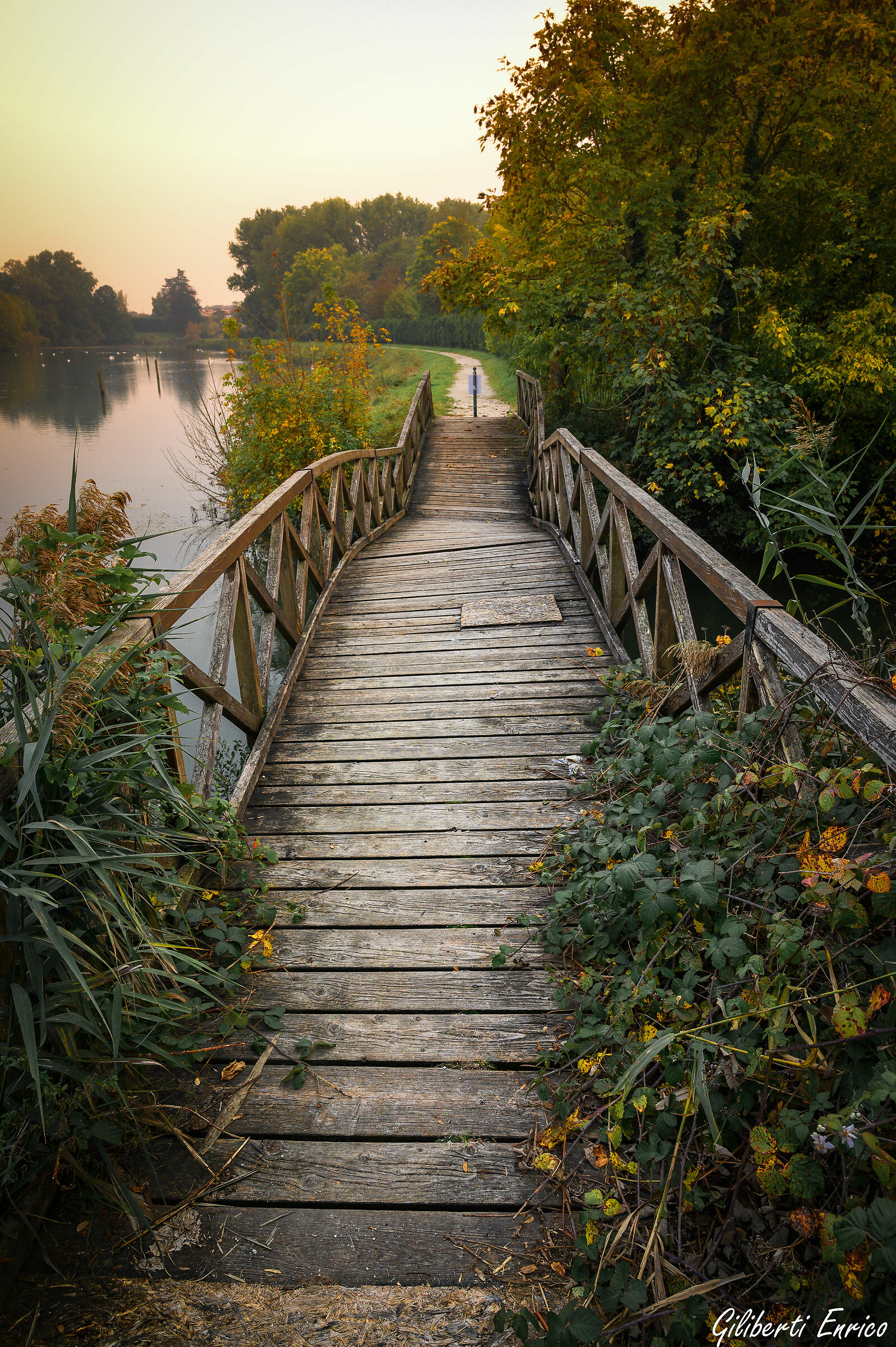 Il ponte pericolante