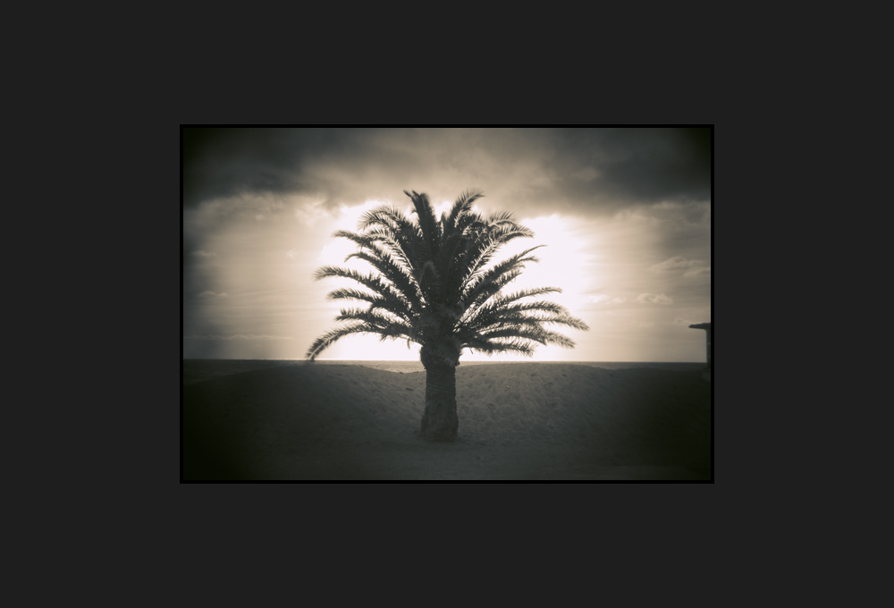 in mezzo alla terra, 2015