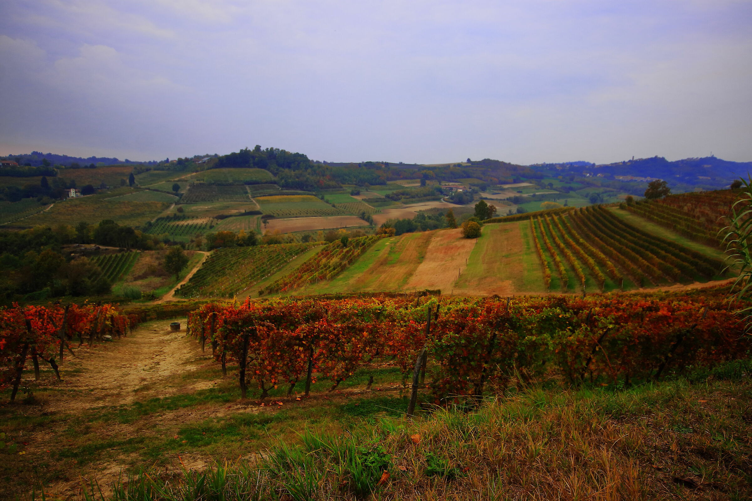 autumn in monferrato