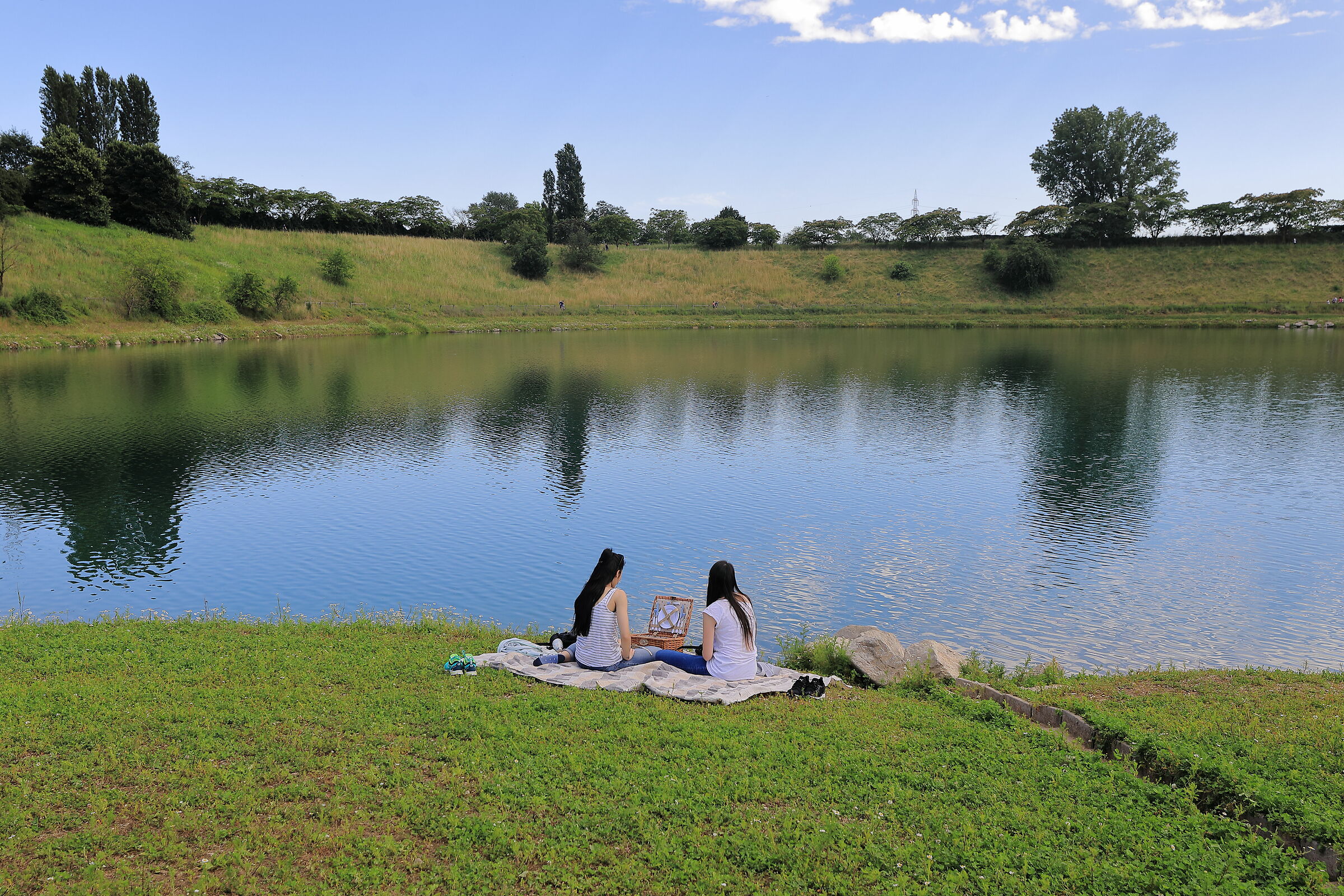 Suspended Freedom - covid 19