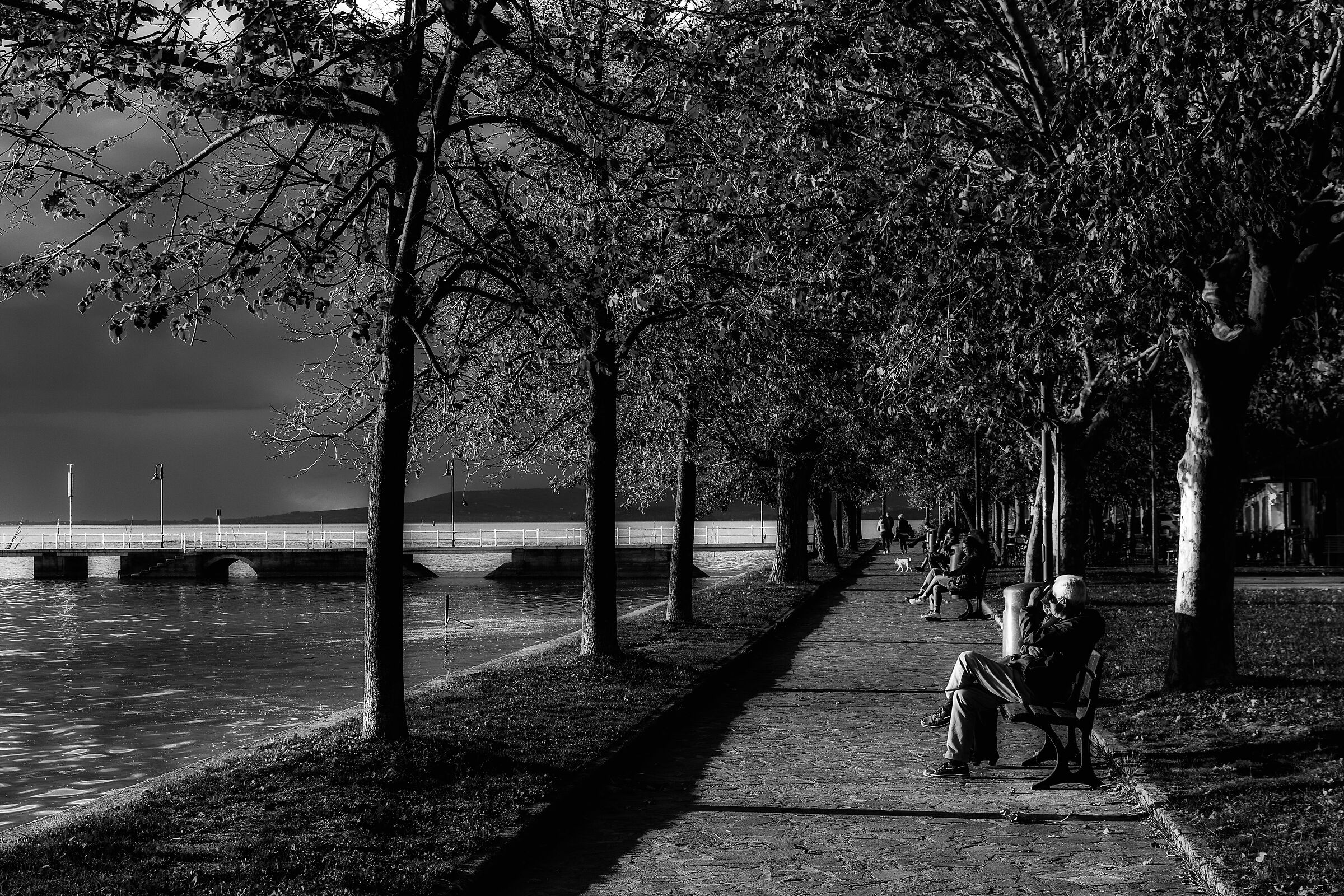 quiete al lago trasimeno