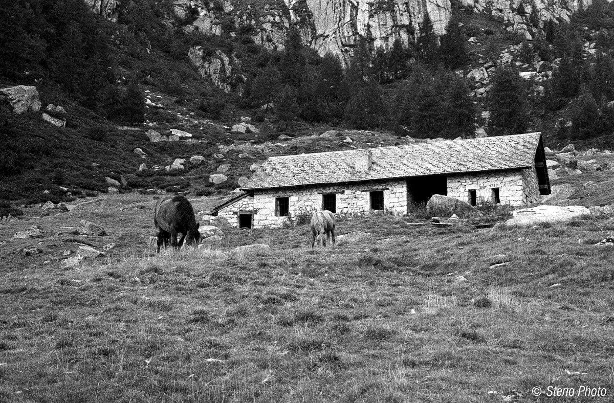 Malga Fierollo di sotto, 1973