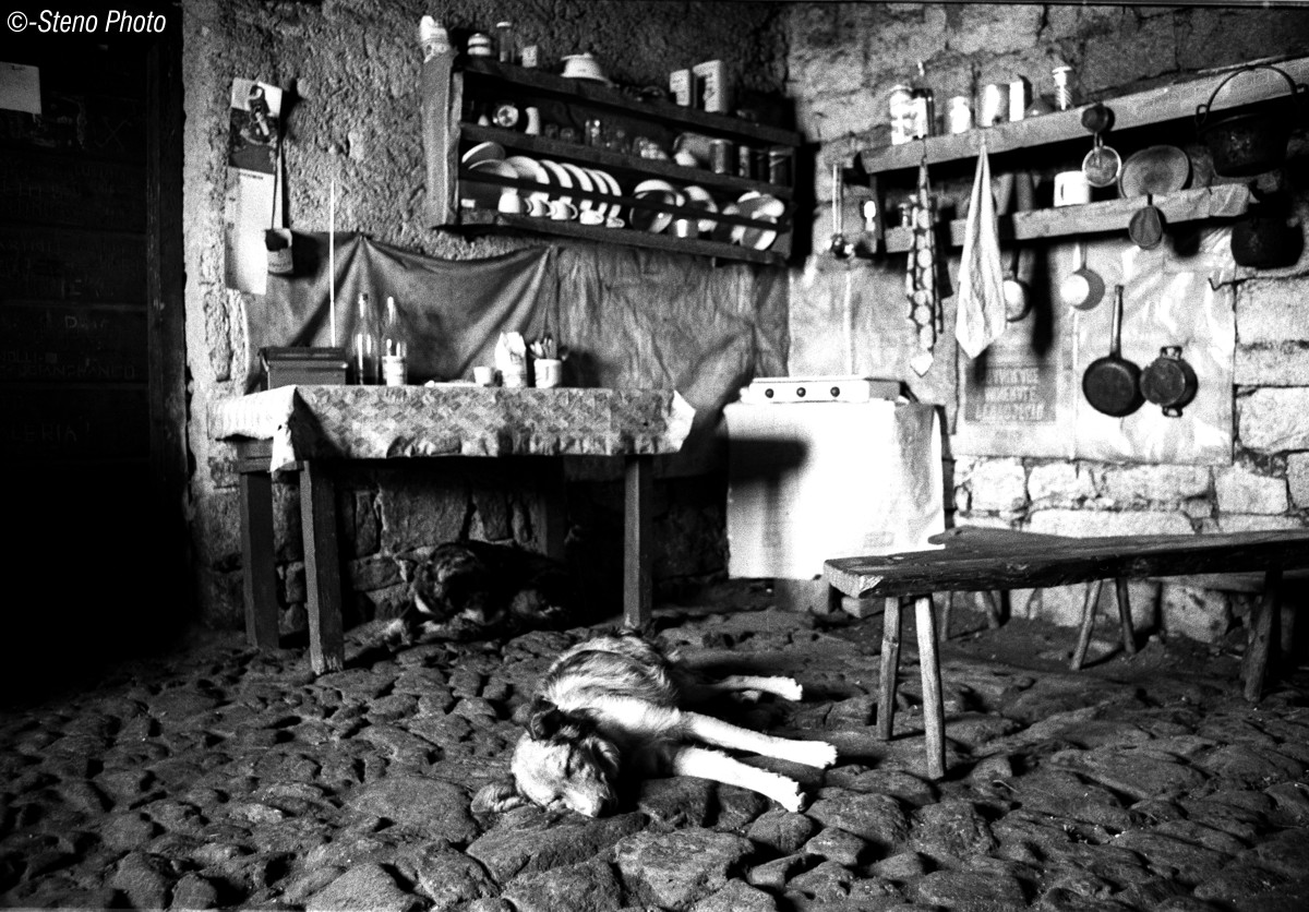 Other active little helper