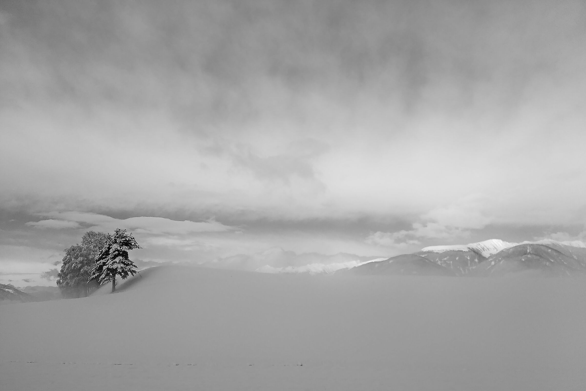 Walchhorn of Riscone where I live