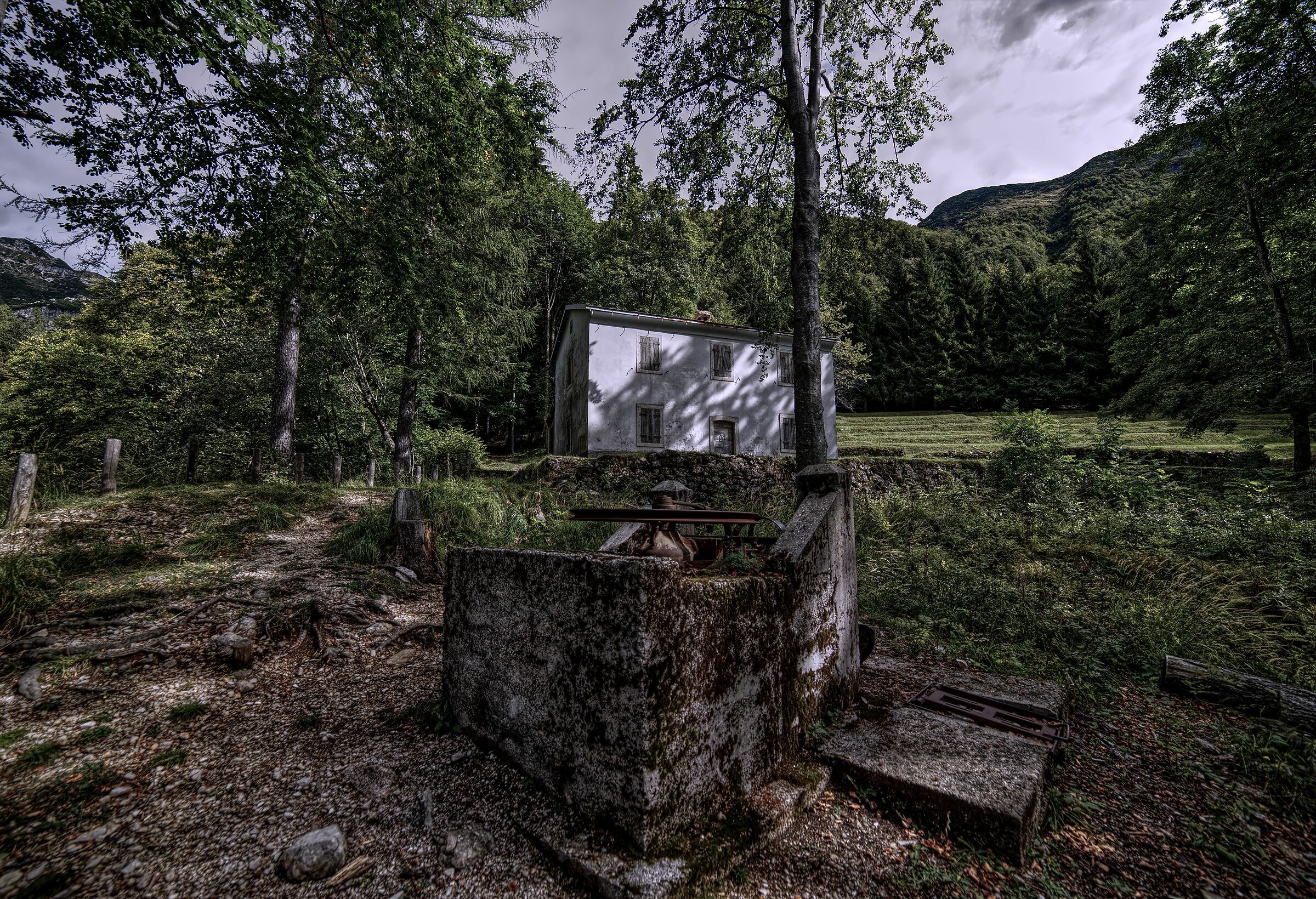 Lessini Forest Gardens