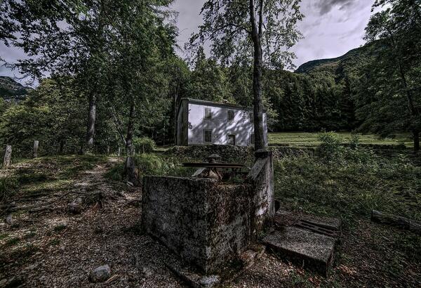 Foto