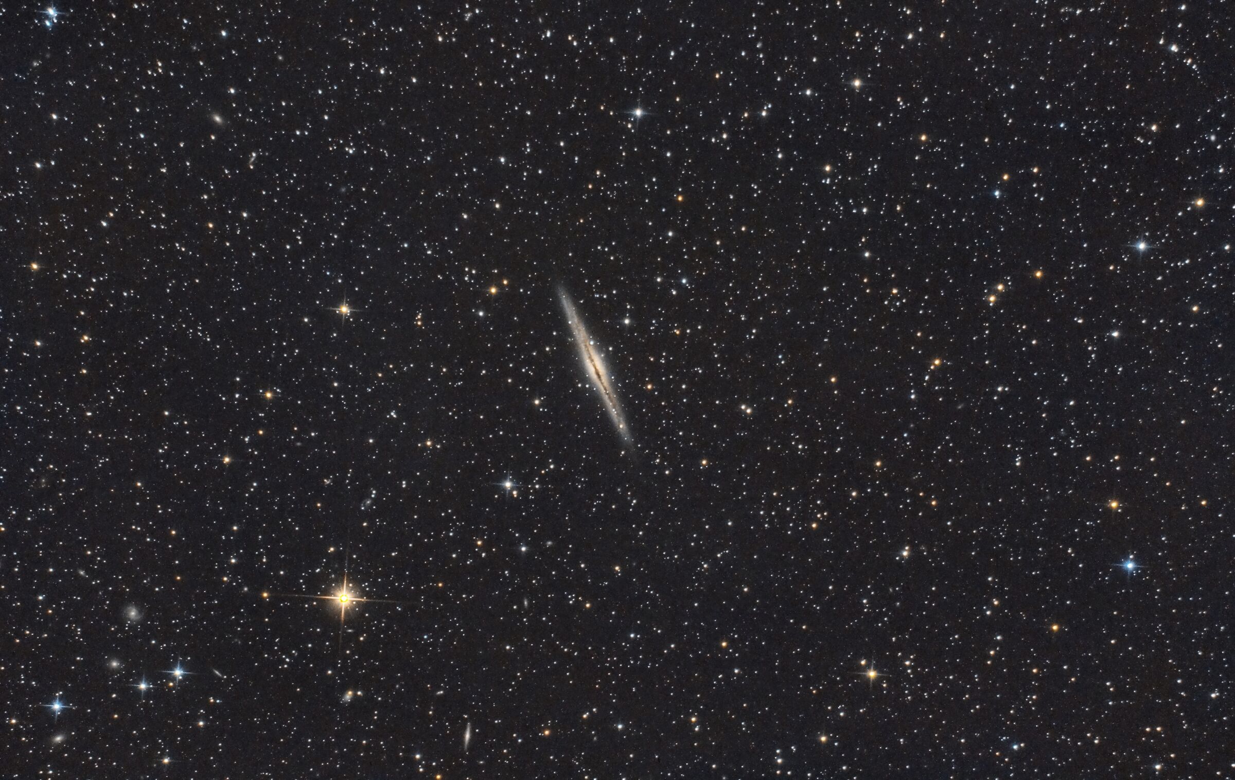 ngc891