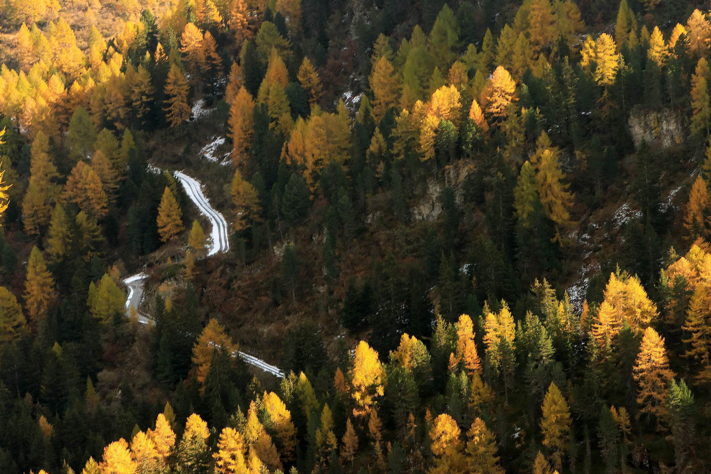 una stradina di neve