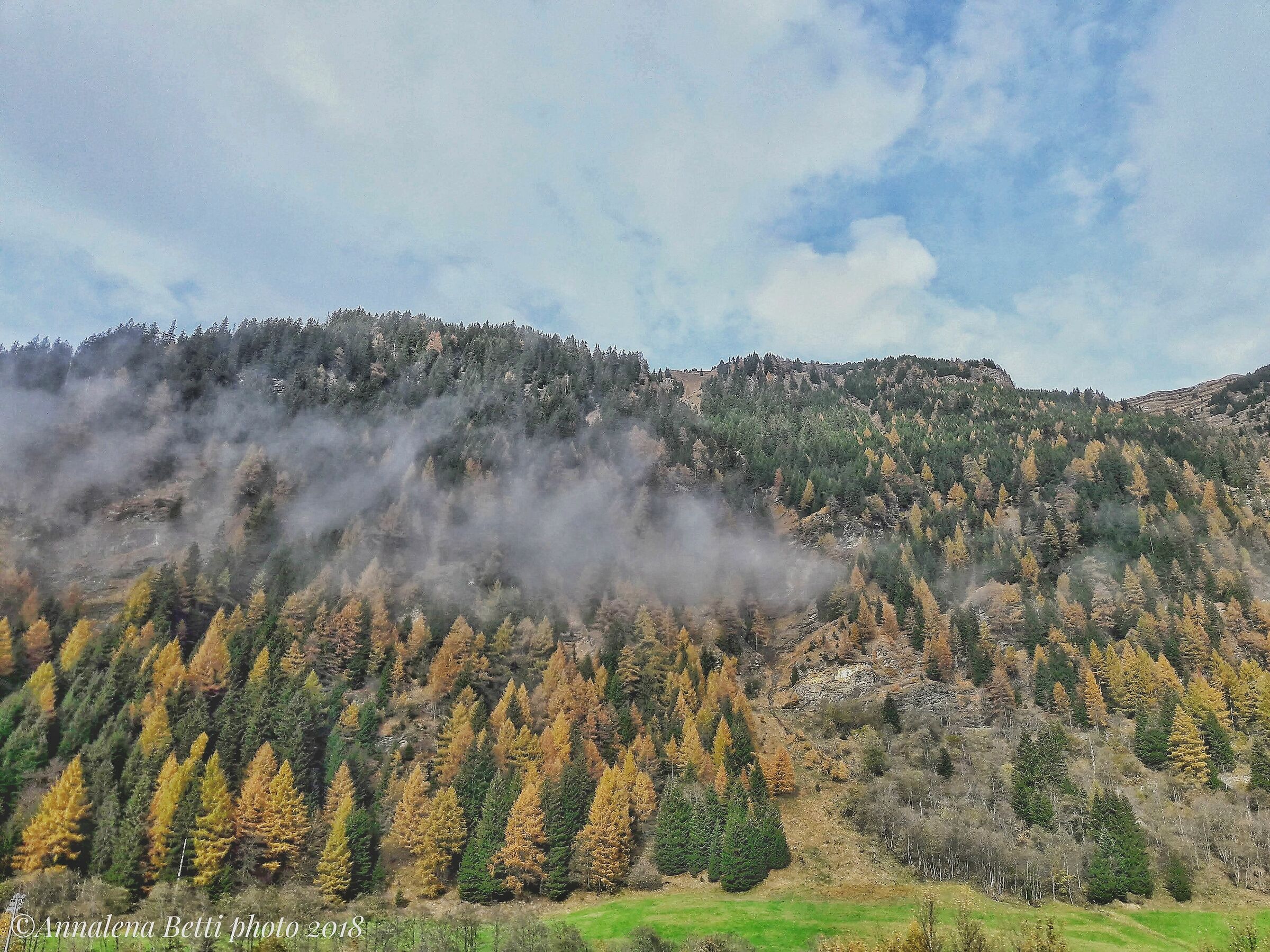 Autumn flowing on the Brenner Pass