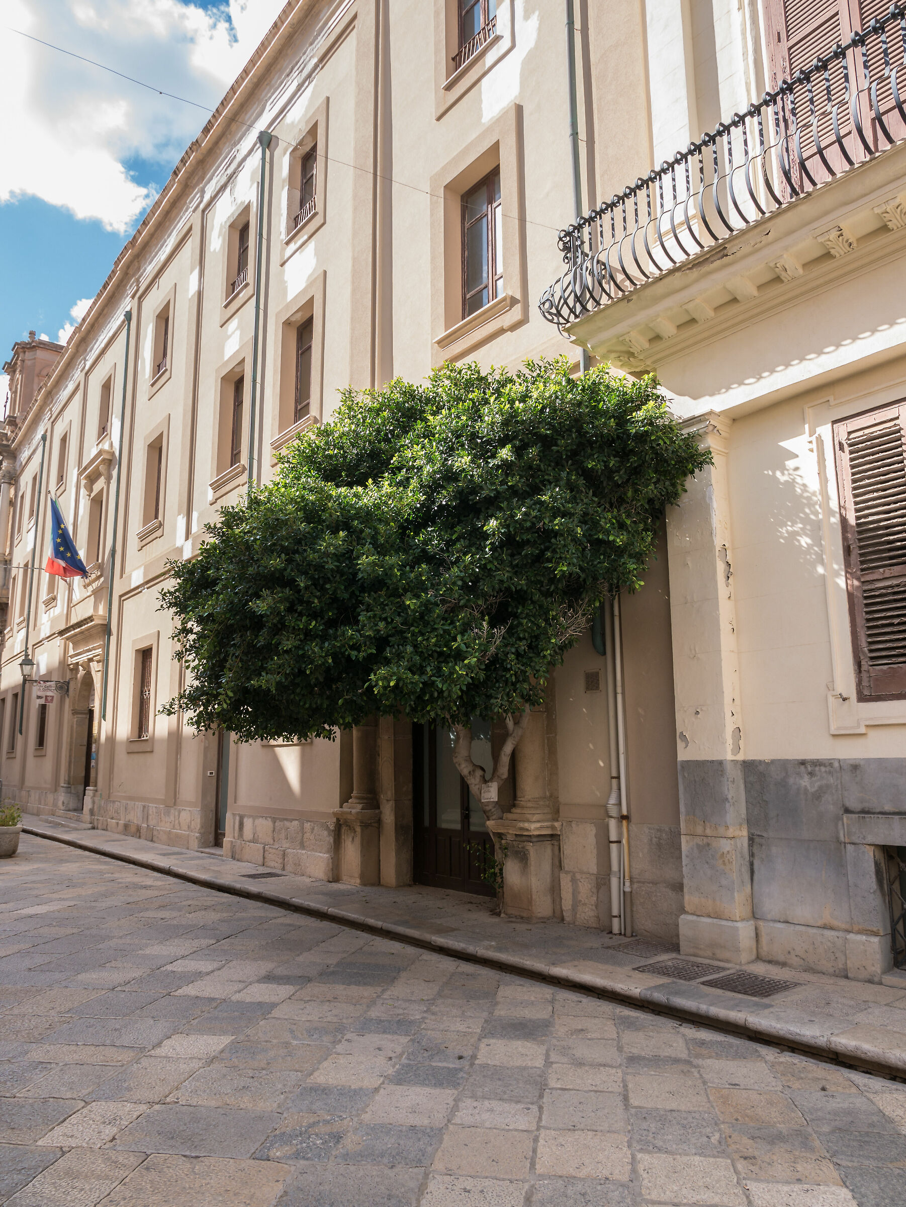 The Tree of Wonders - Trapani