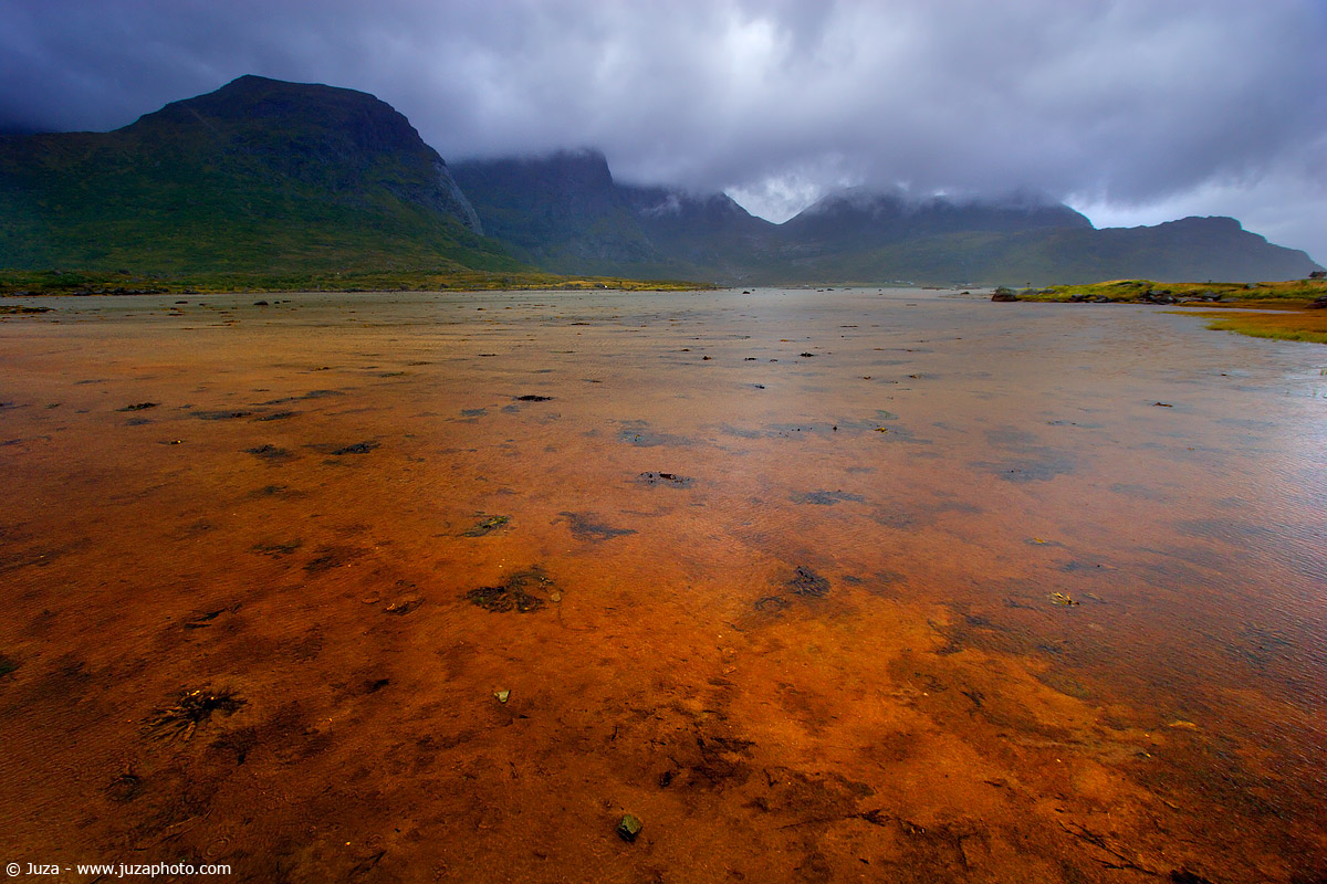 Isole Lofoten, 006422